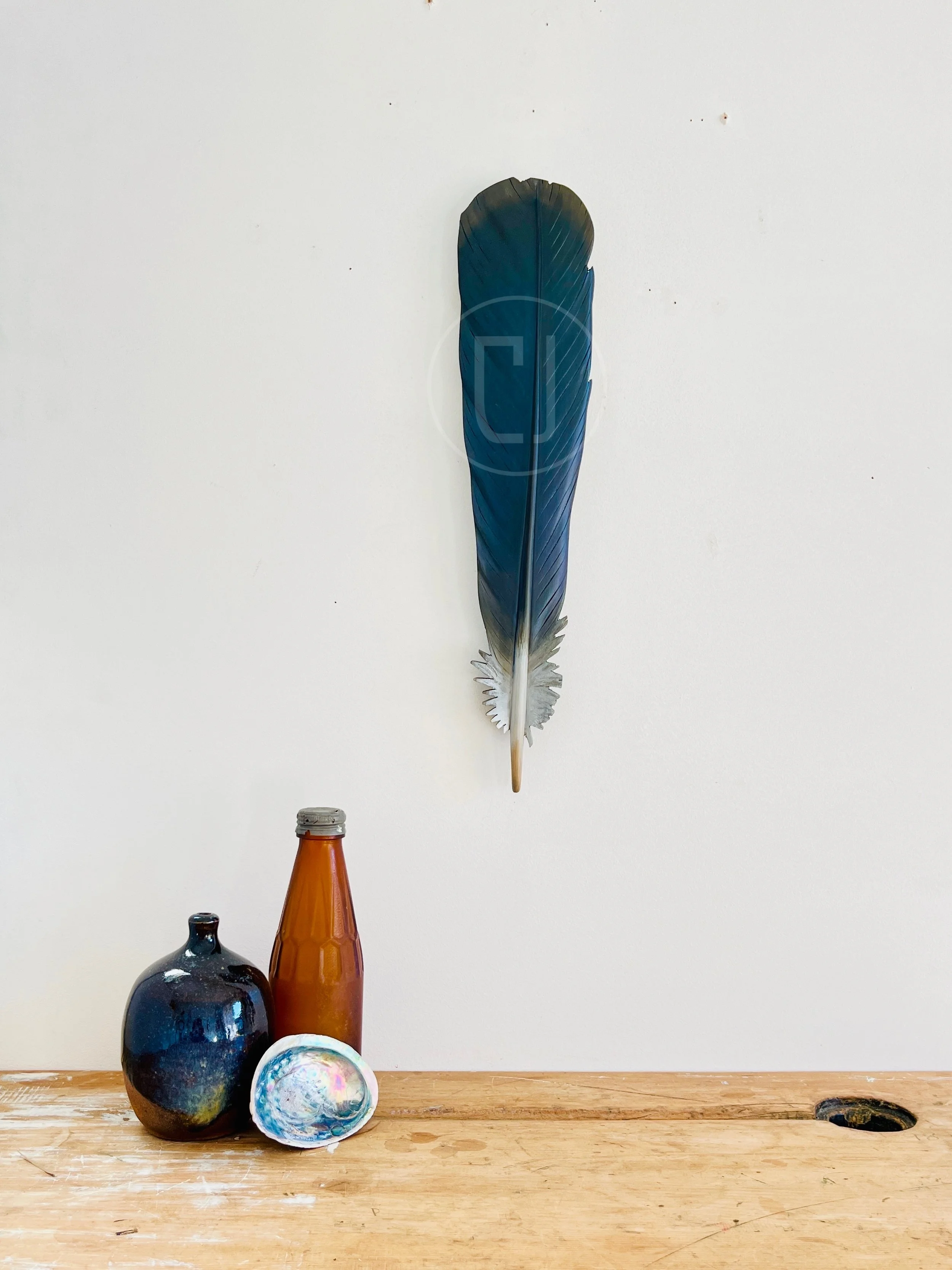 kereru-tail-feather-art.JPEG