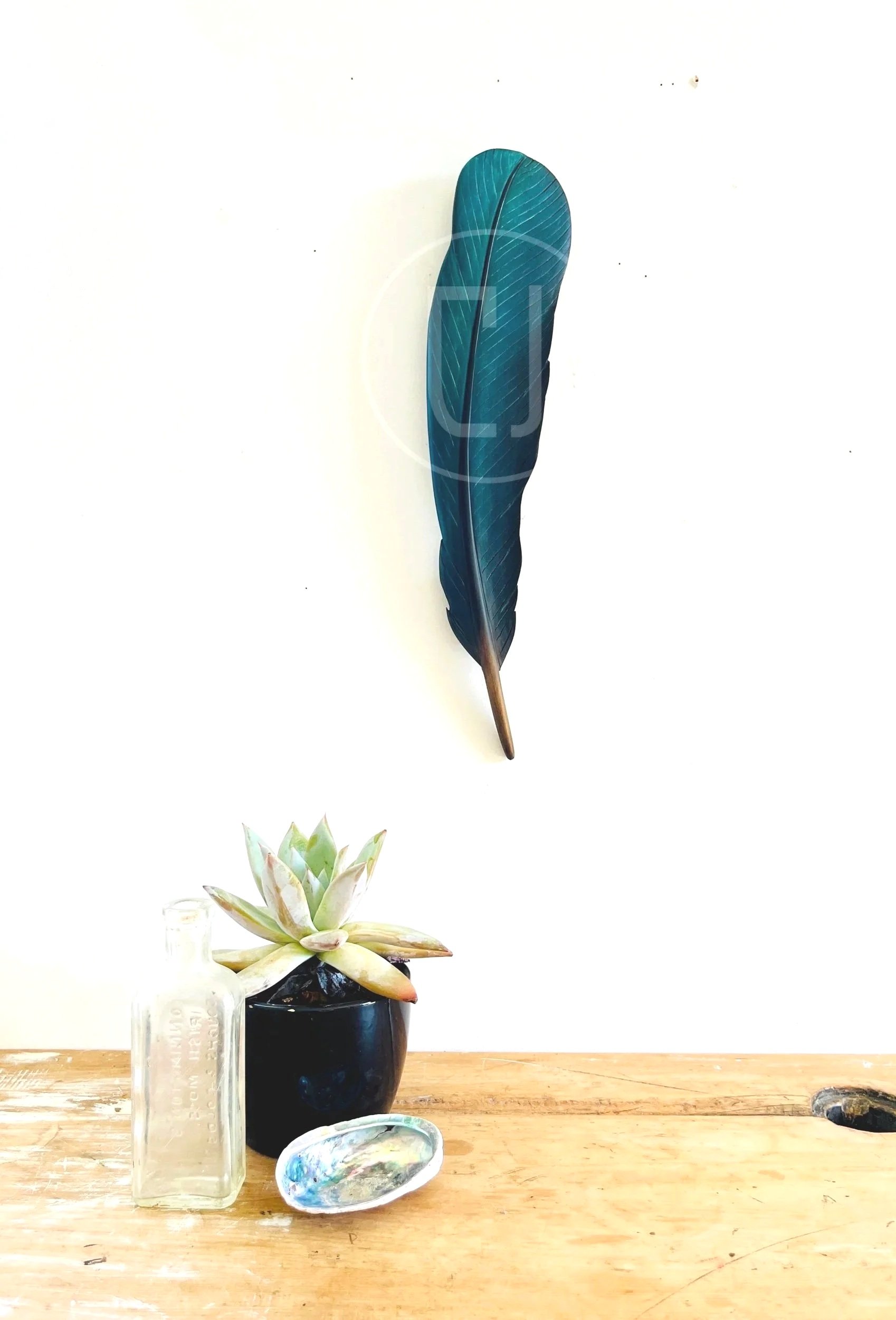 Curved Tūī Wing Feather Art-38cm