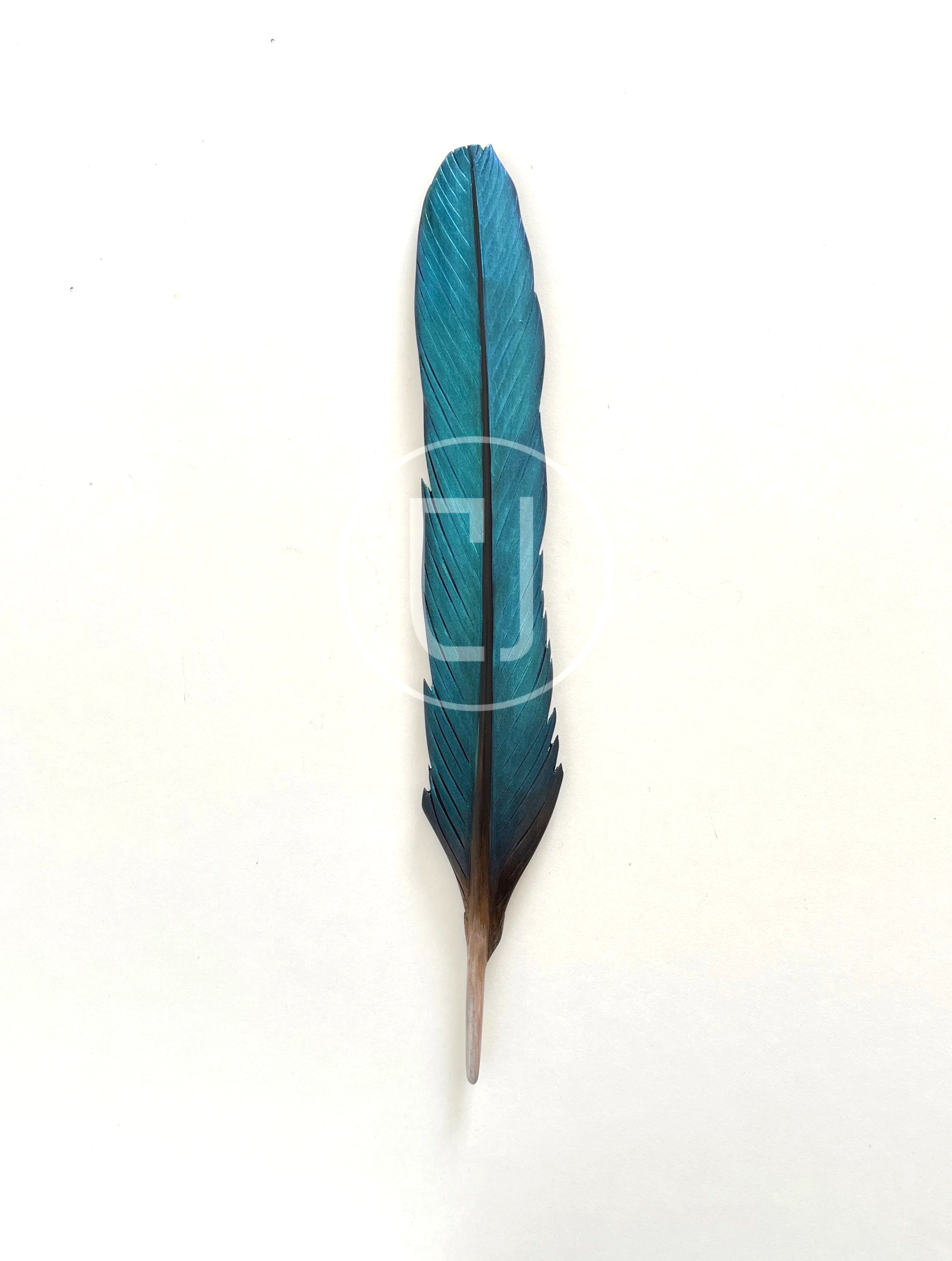 kotare+sacred+kingfisher+wall+art+carving+claire+jensen.png