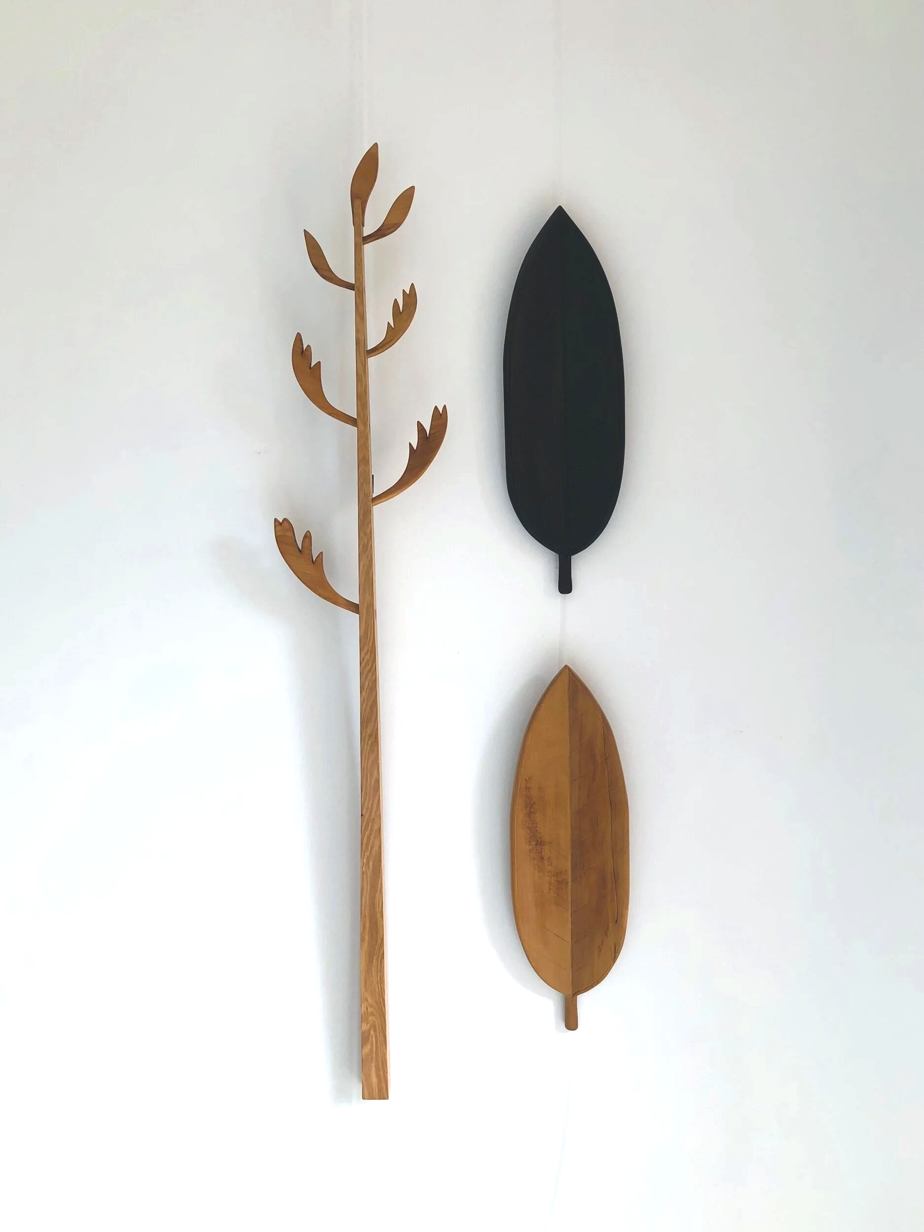 761EDB55-845A-434F-BEE6-486A53E370AD