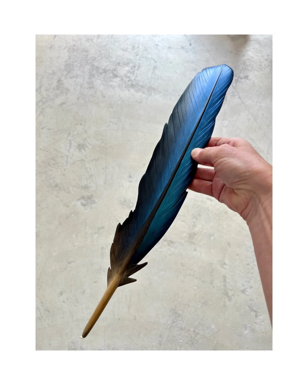 Carved Matai Kōtare Feather Art- 48cm