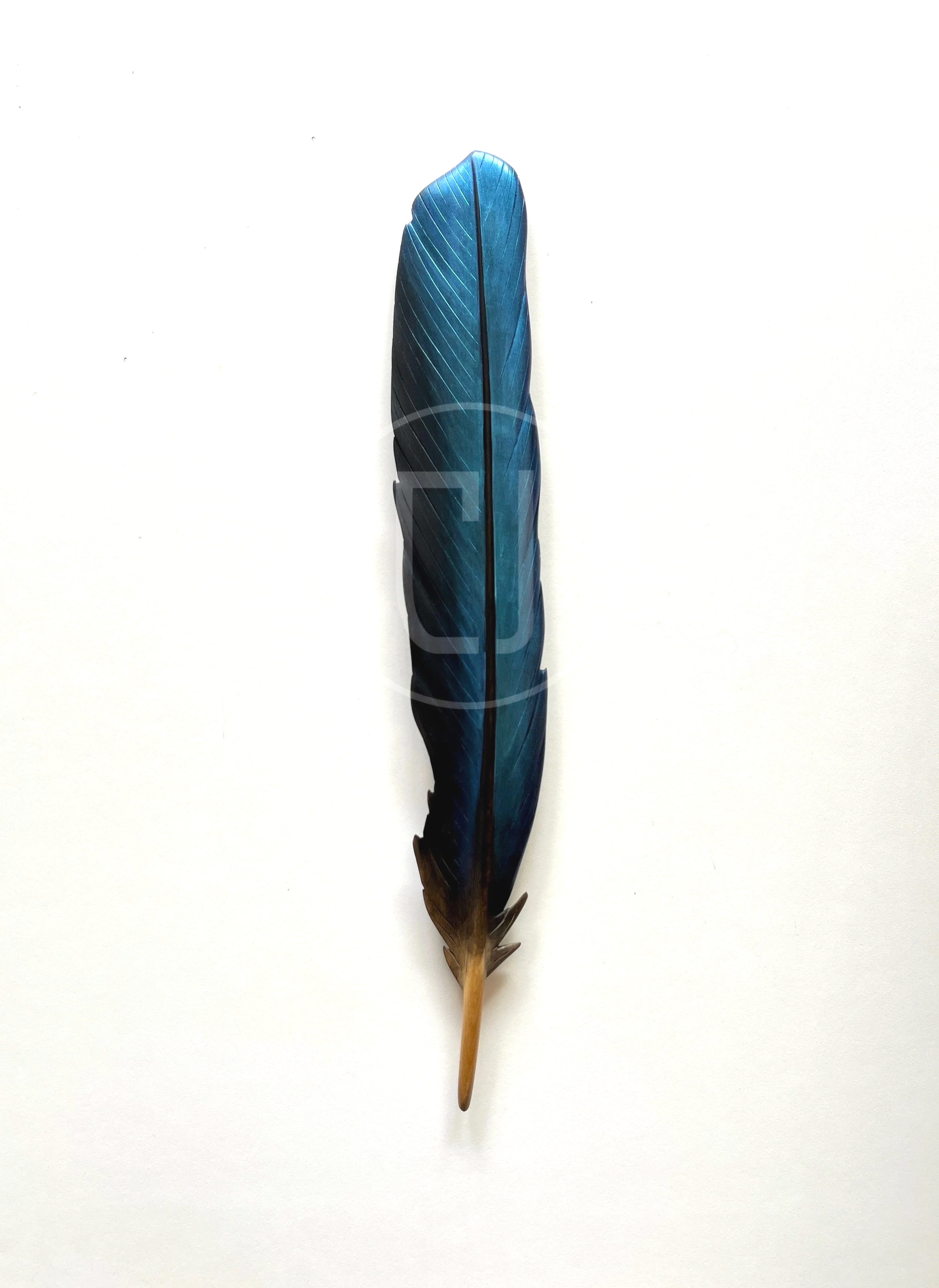 kotare+feather+art+by+claire+jensen+taranaki.png