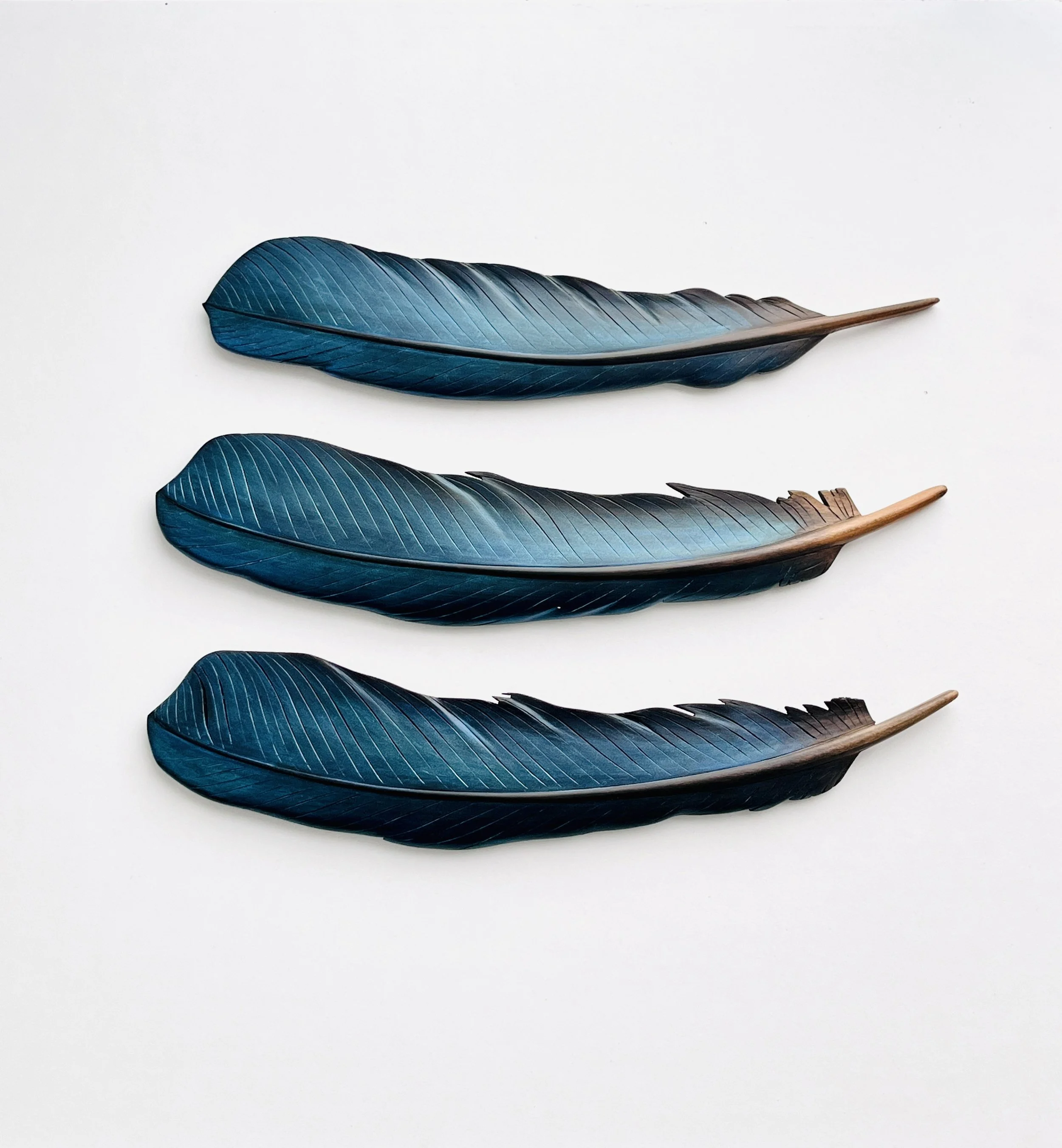 iridescent blue green tui feather art carvings claire jensen taranaki