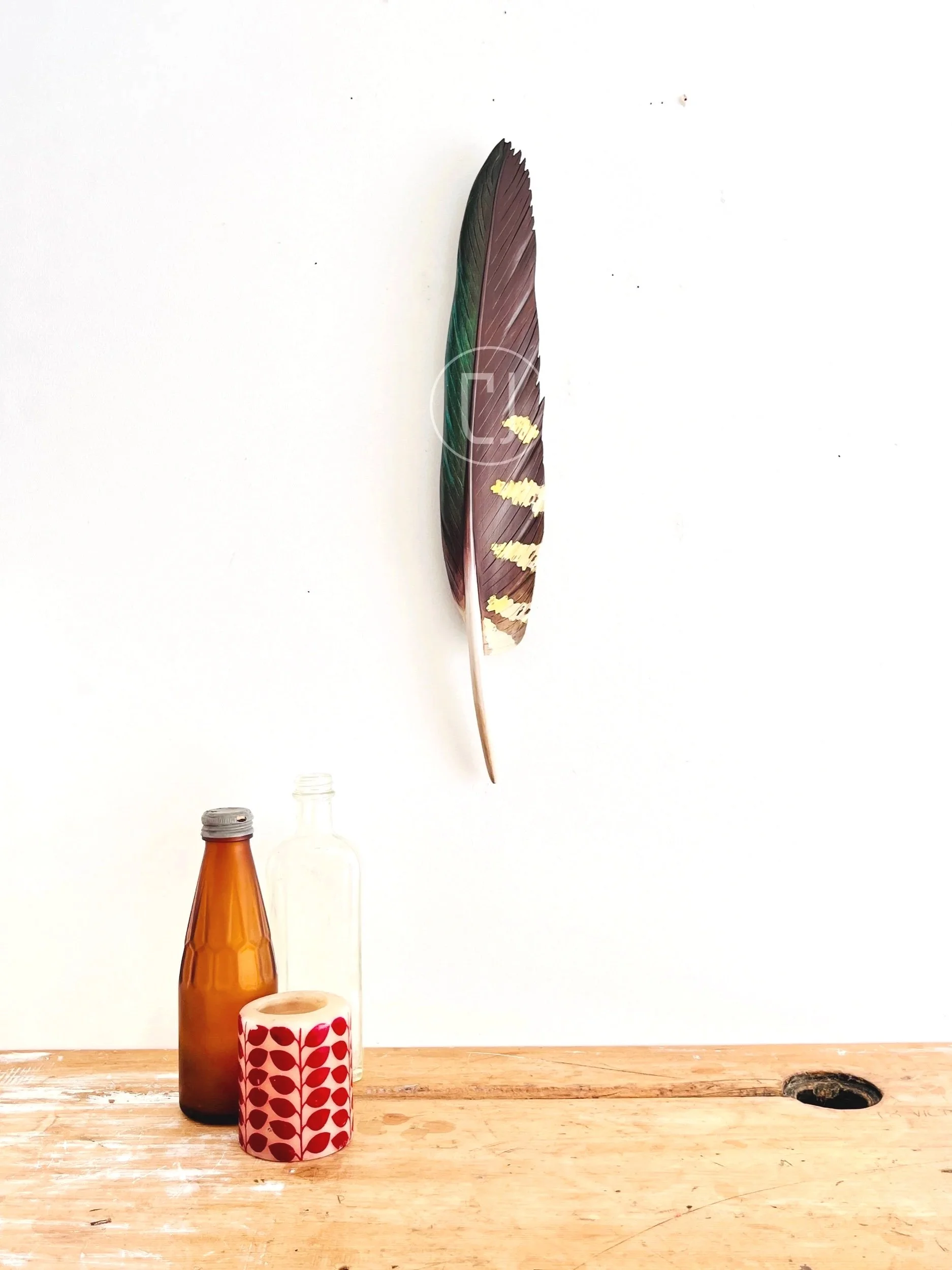 carved wood kea feather wall art by claire jensen NZ