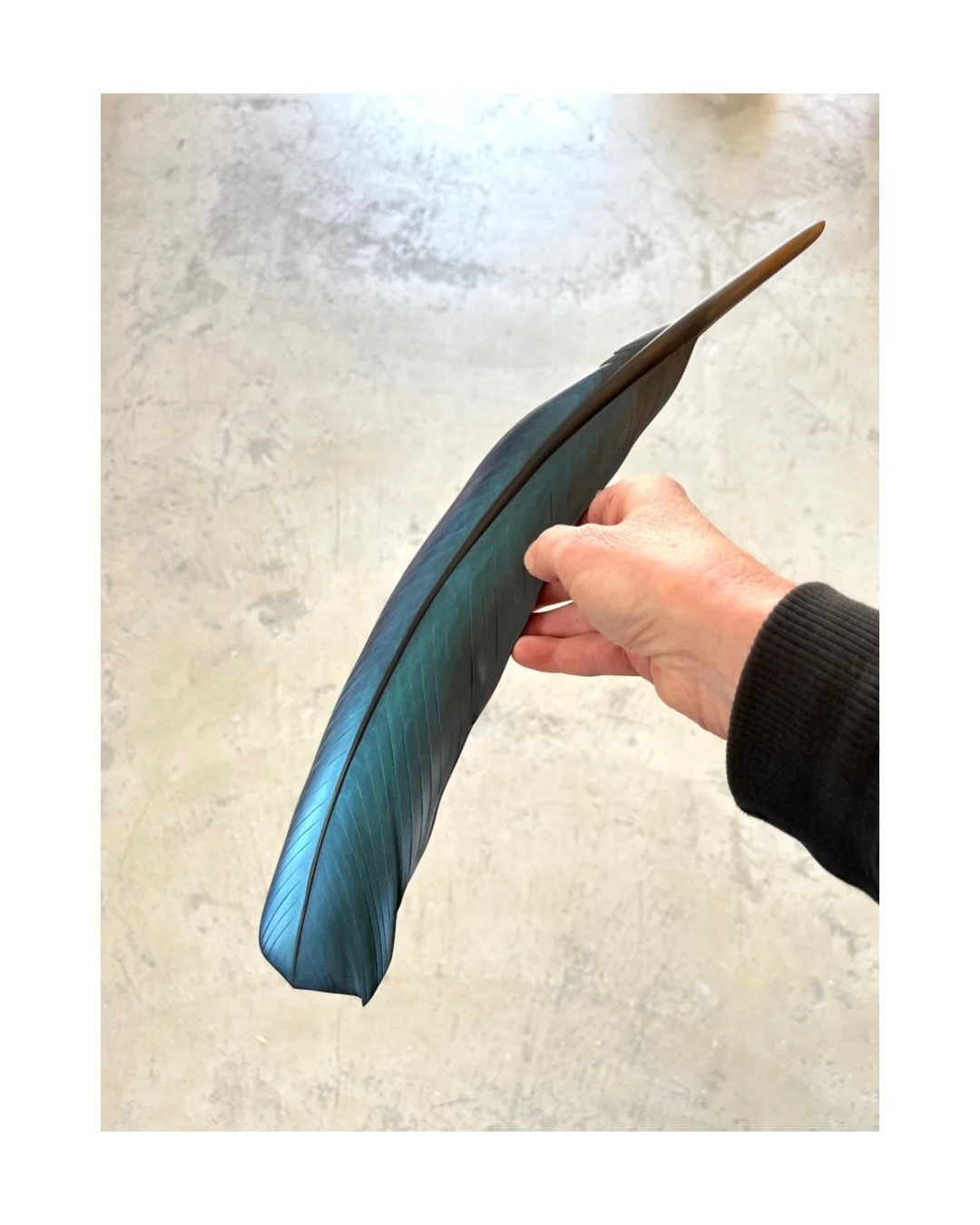 Kōtare Feather Art- Horizontal Align