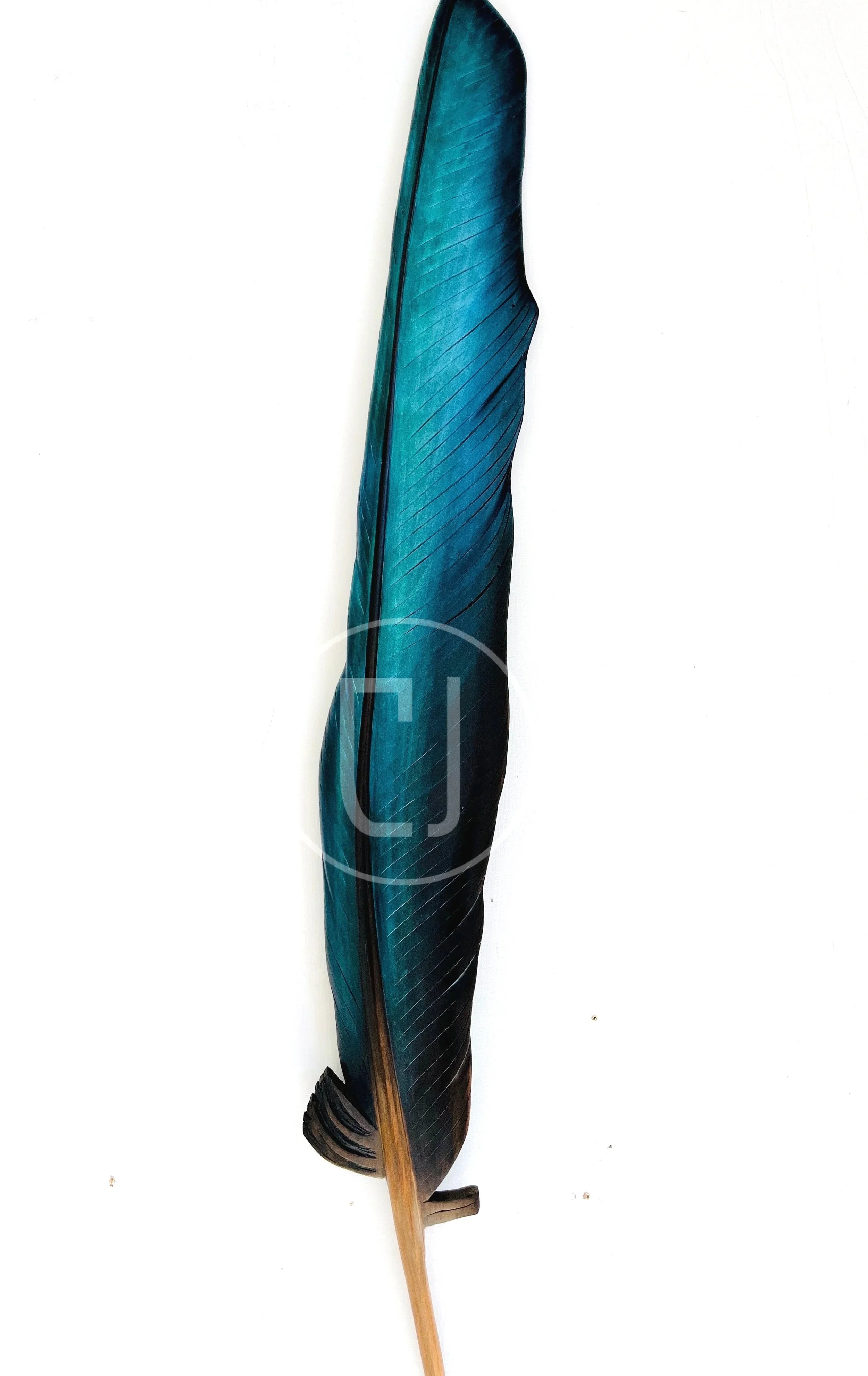 tui art claire jensen opunake