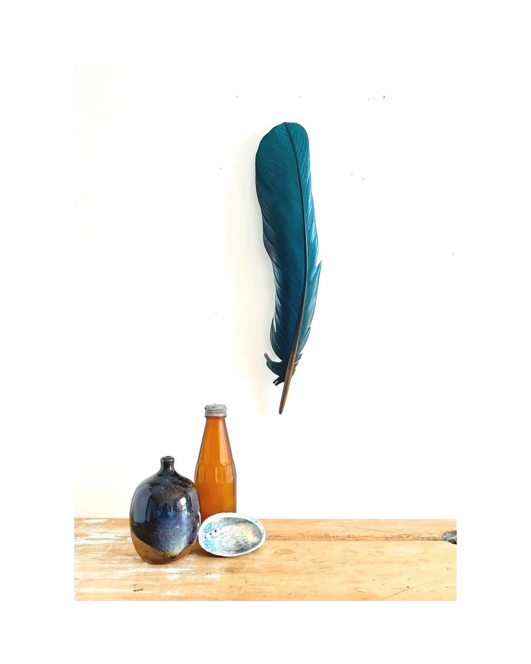 Tūī  Wing Feather Art-45cm