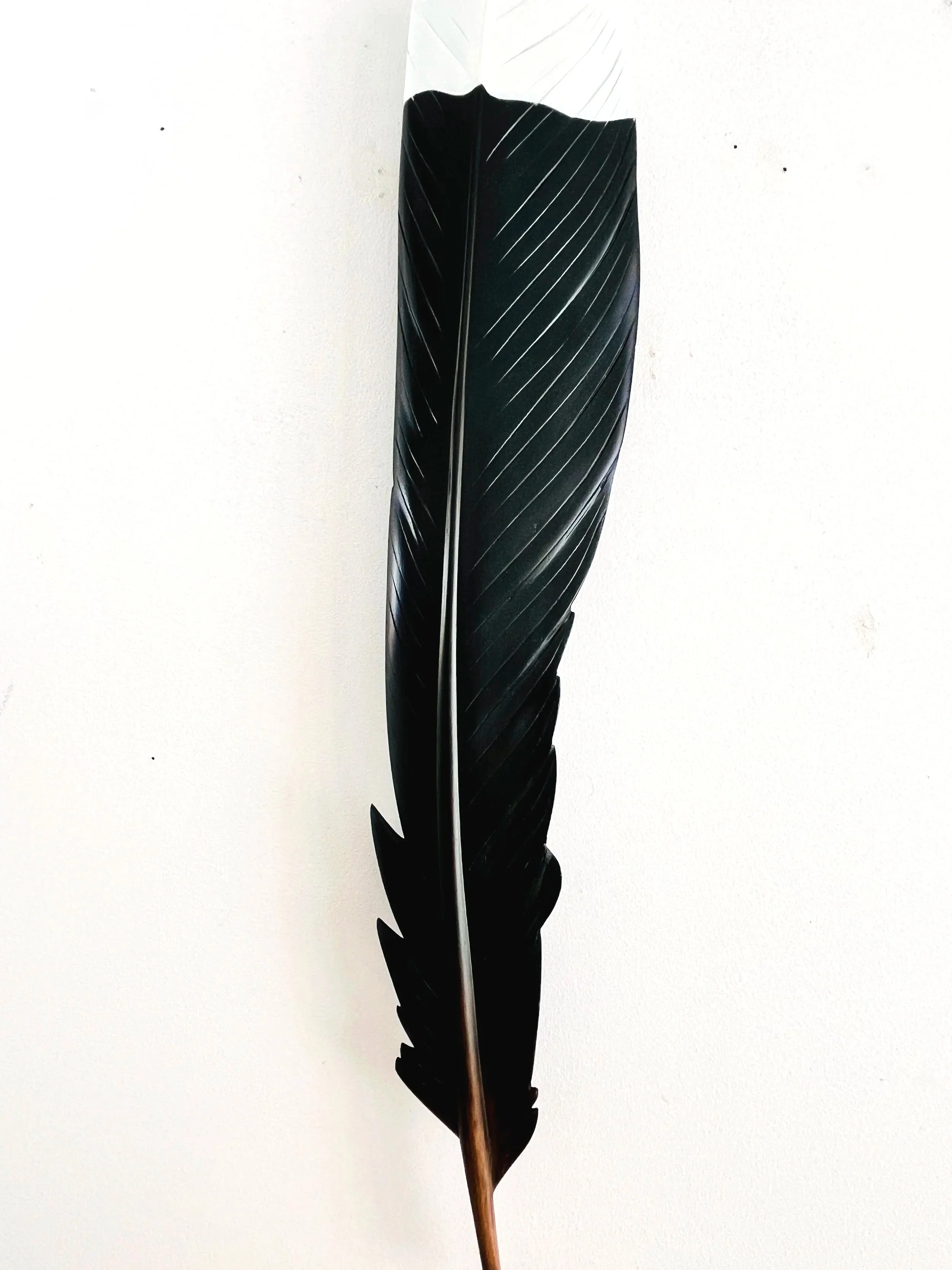detail+of+huia+feather+wall+art+claire+jensen.jpg