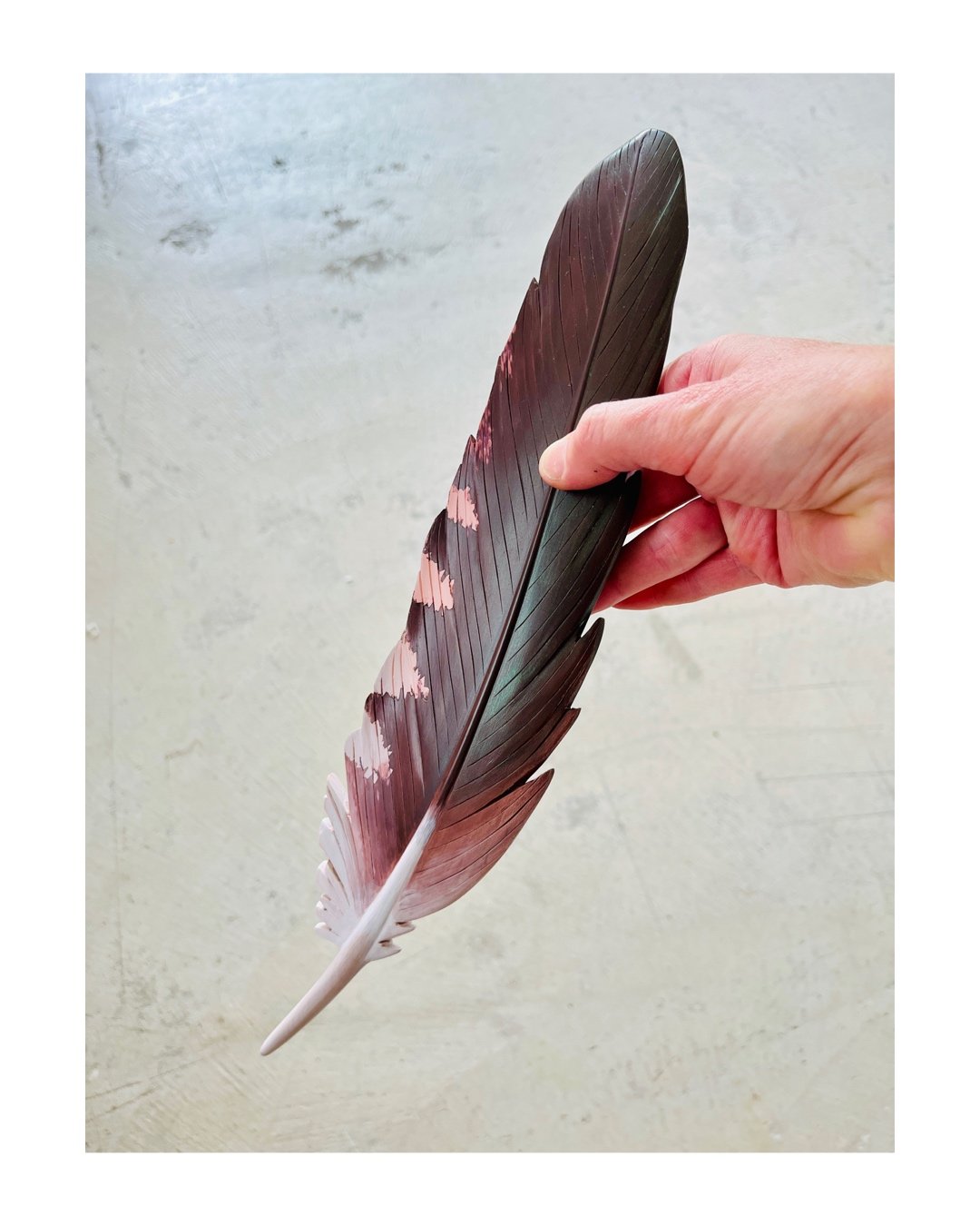 kaka feather art carving.JPG