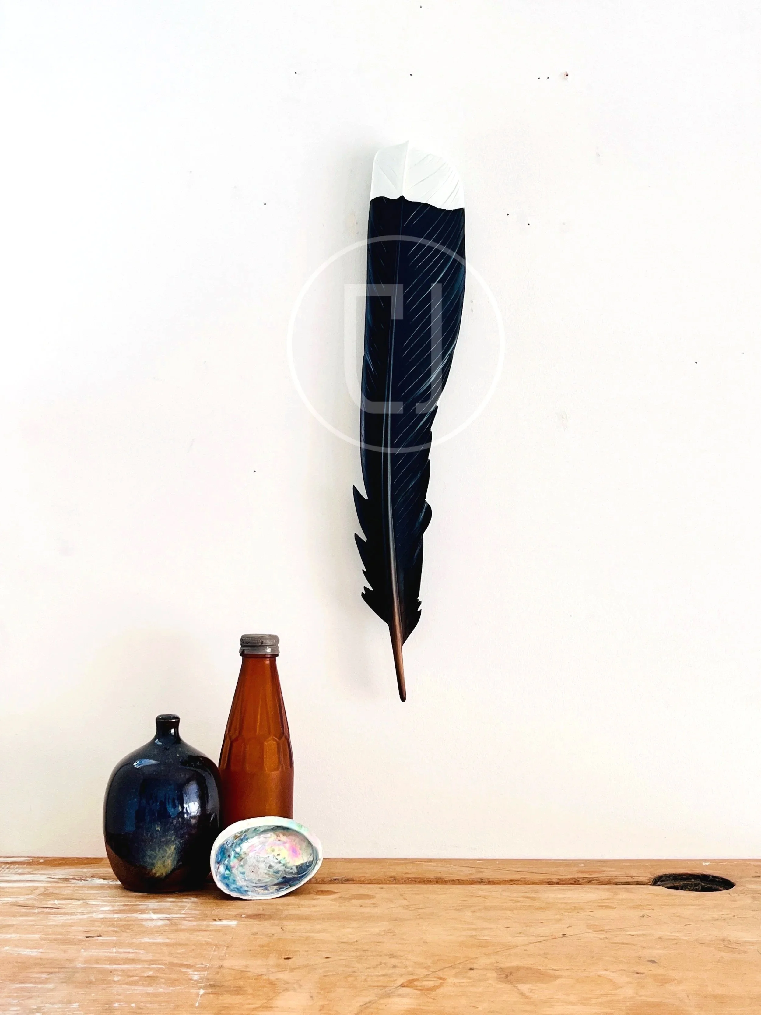 huia+feather+art+claire+jensen.jpg