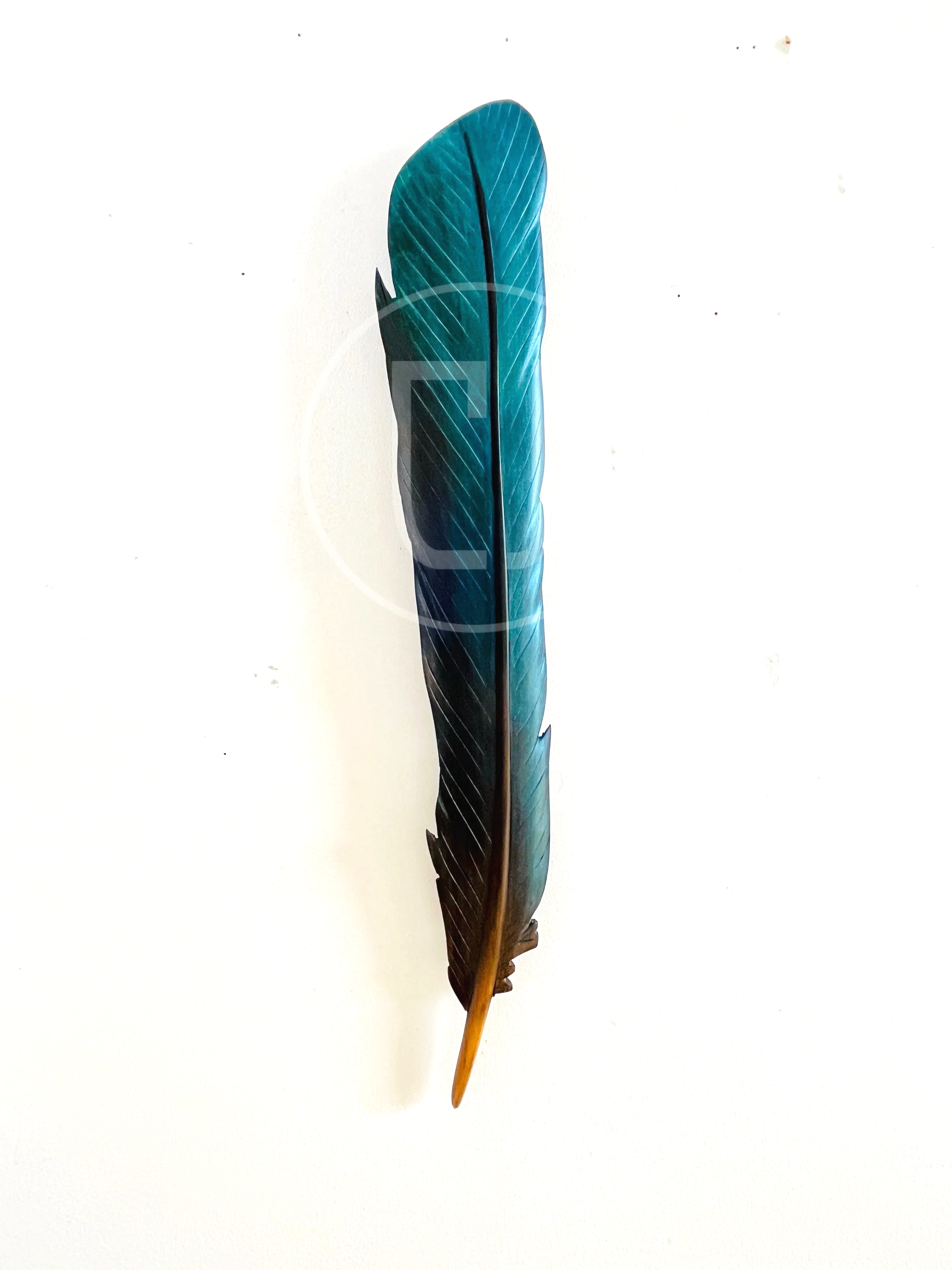 blue+tui+feather+art+by+claire+jensen.png