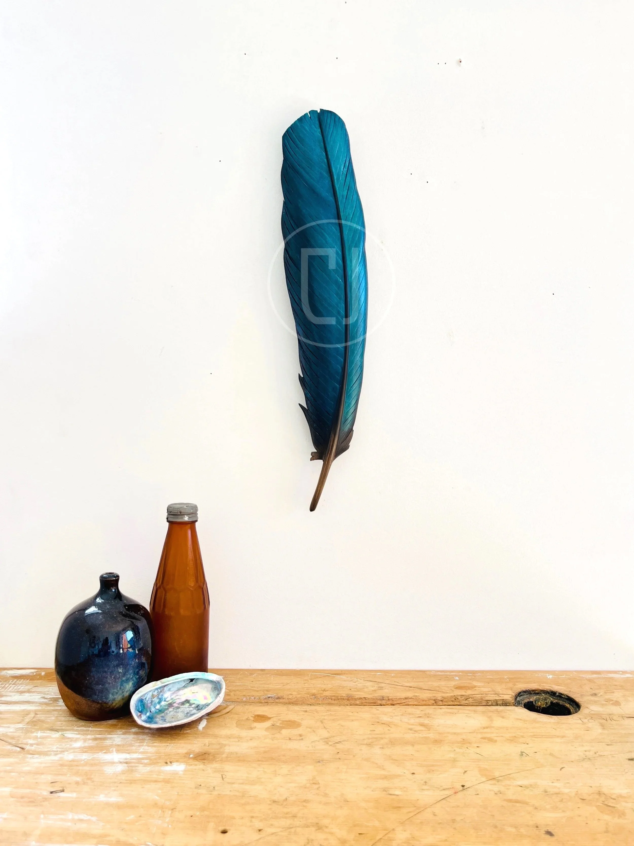 tui-art-claire-jensen.jpg