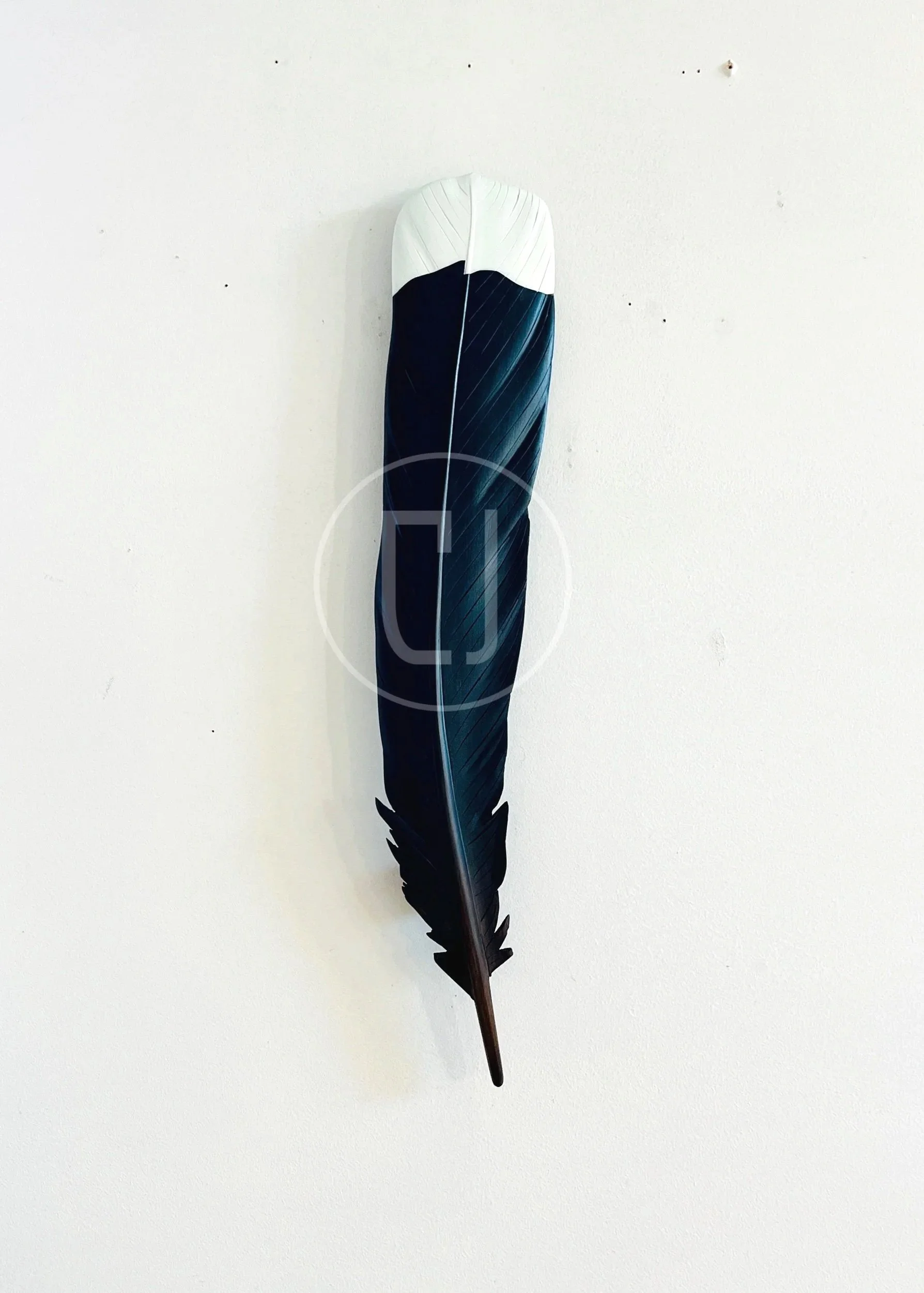 huia feather art by Claire Jensen New Zealand