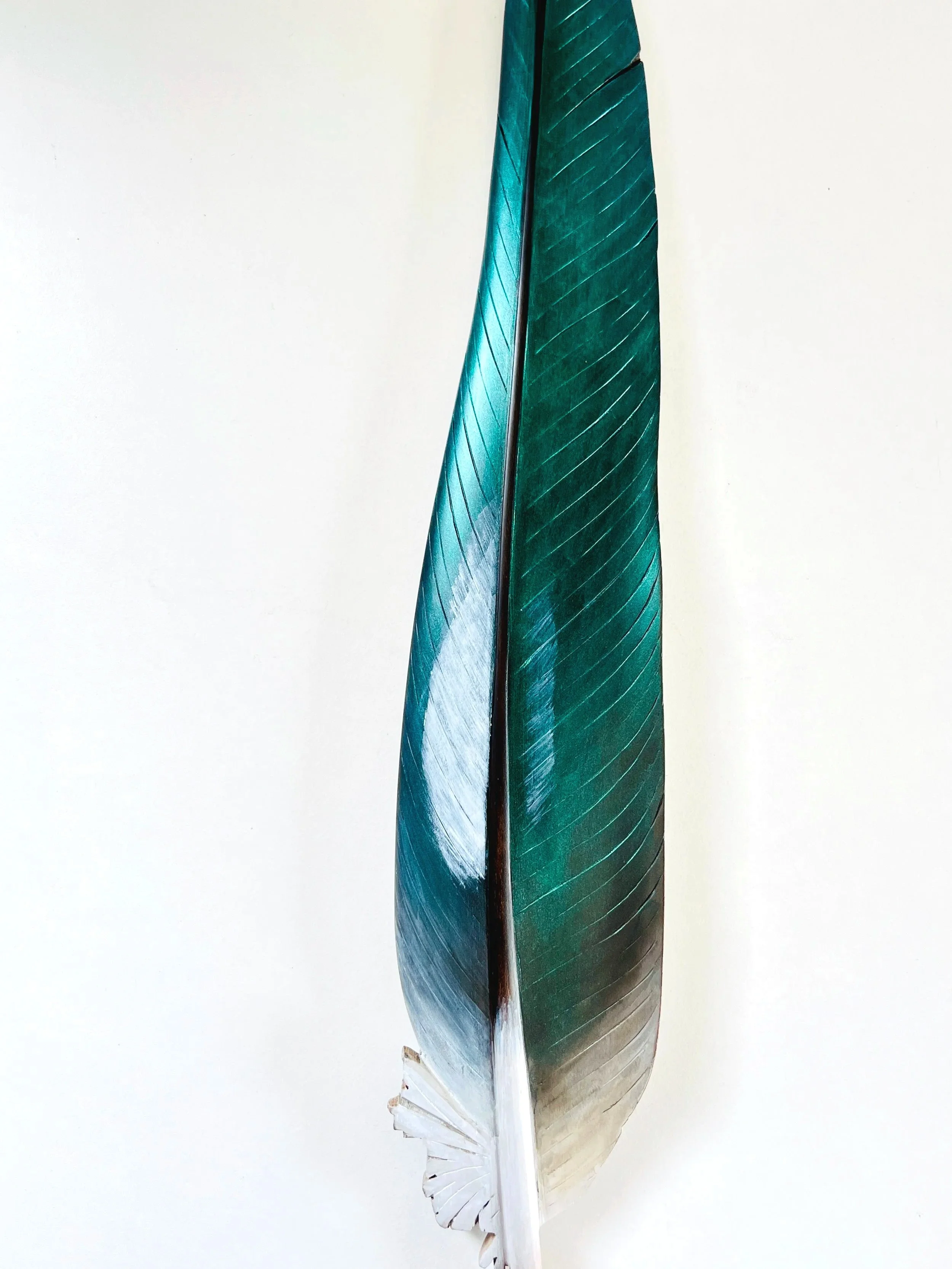 kereru+art+by+claire+jensen.jpg