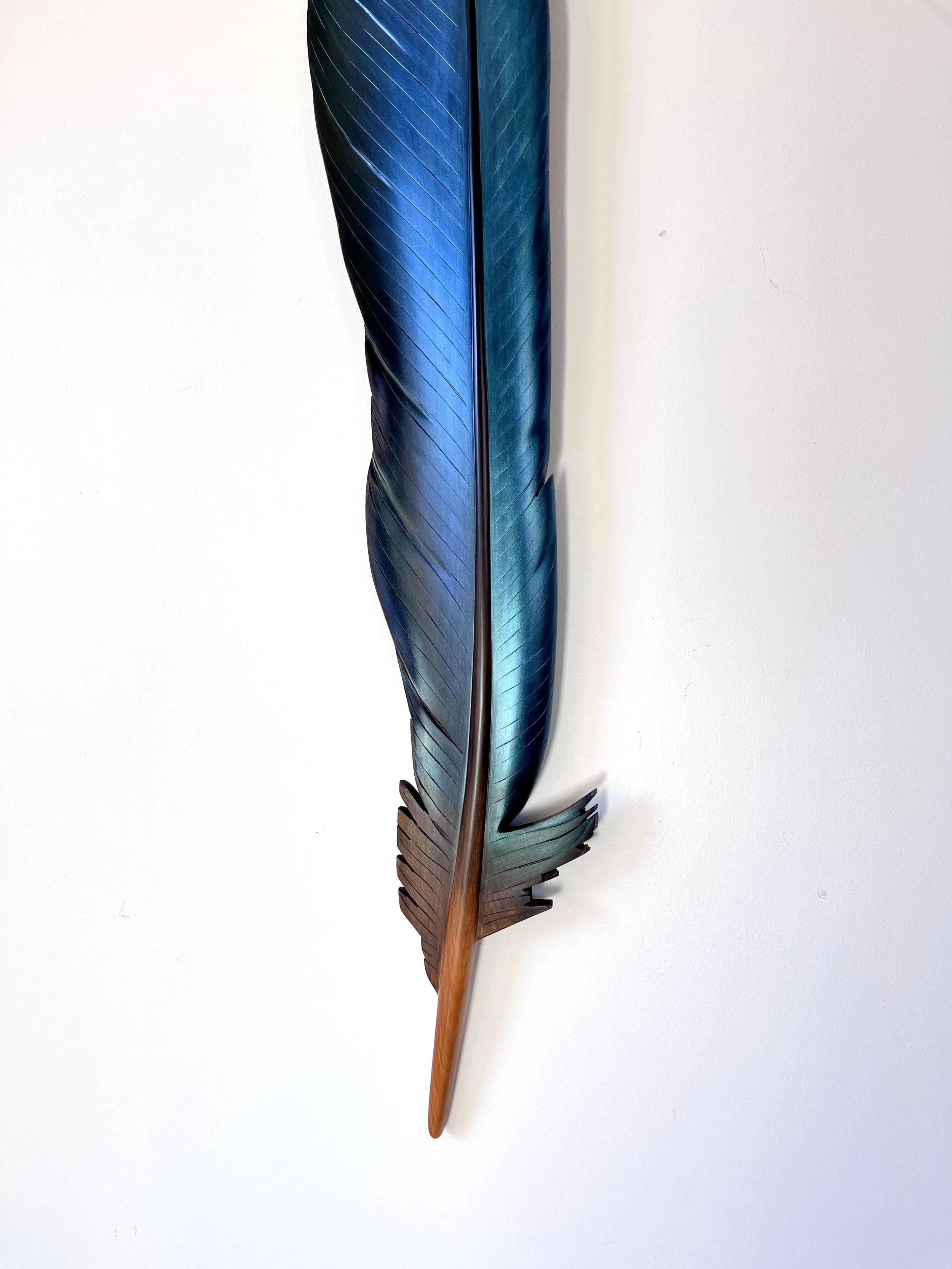 detail-tui-tail-feather-claire-jensen-MAT960726.jpg