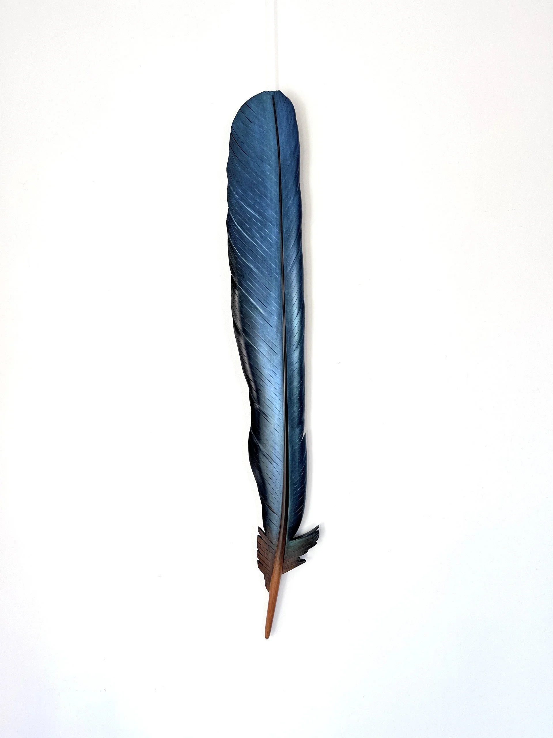 full-shot-tui-tail-feather-claire-jensen-MAT960726.jpg