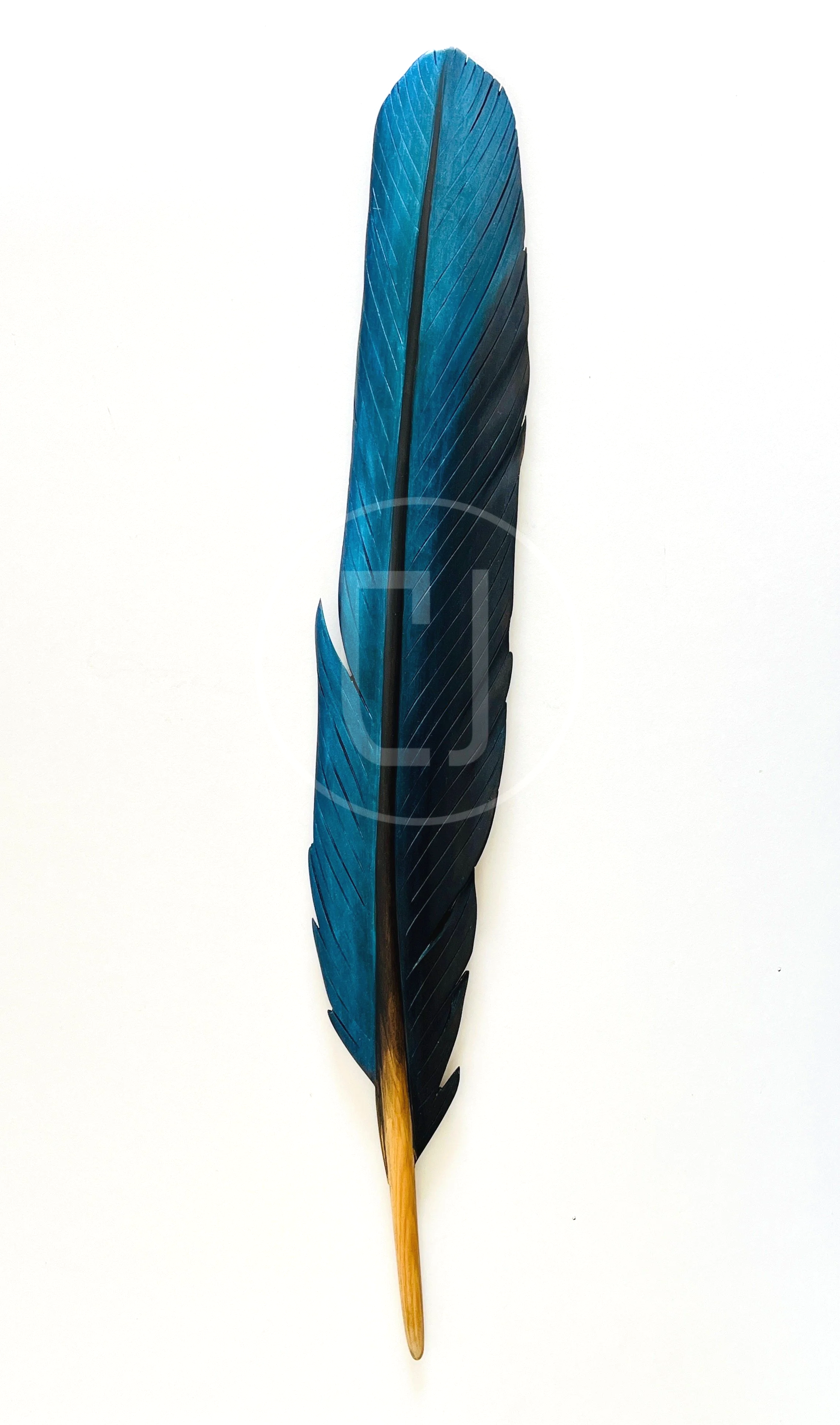 sacred+kingfisher+feather+art+by+claire+jensen+opunake+new+zealand.png