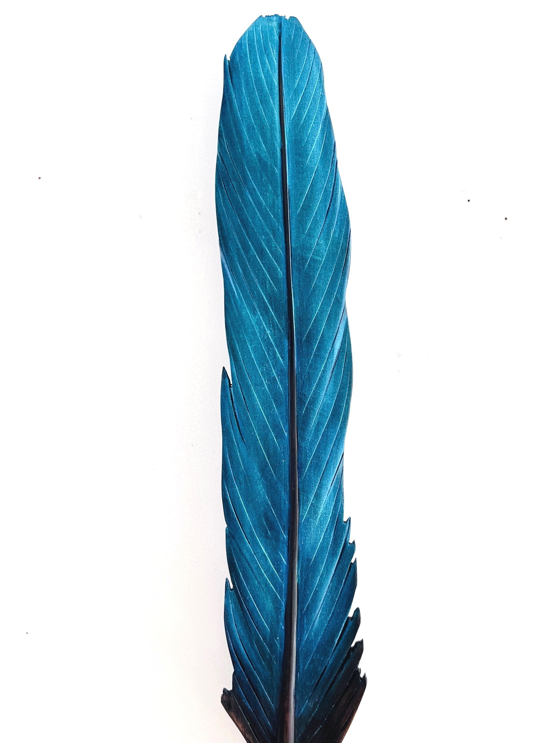 detail of iridescent blue kingfisher feather art