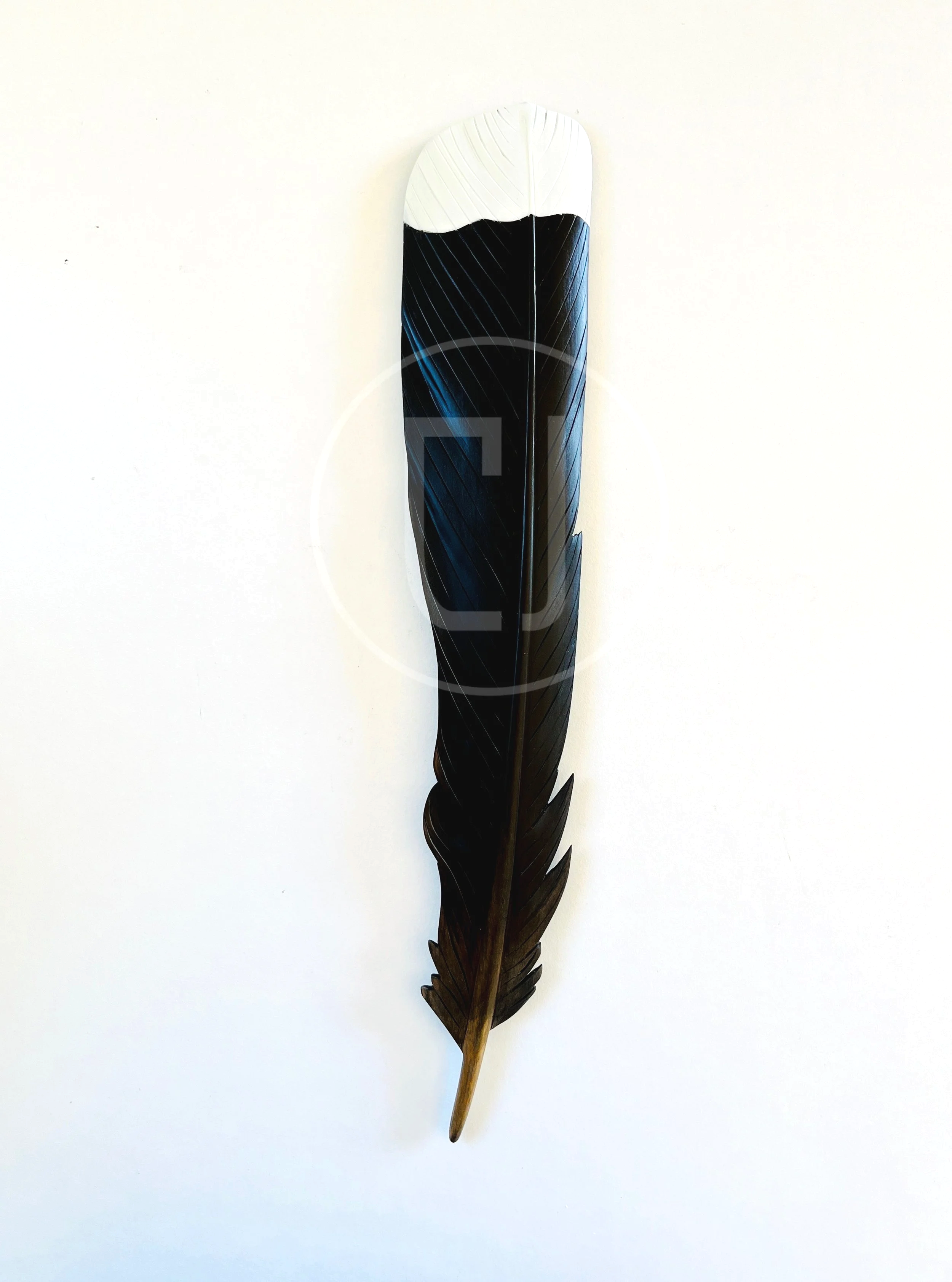 huia+feather+art+by+claire+jensen+taranaki.png