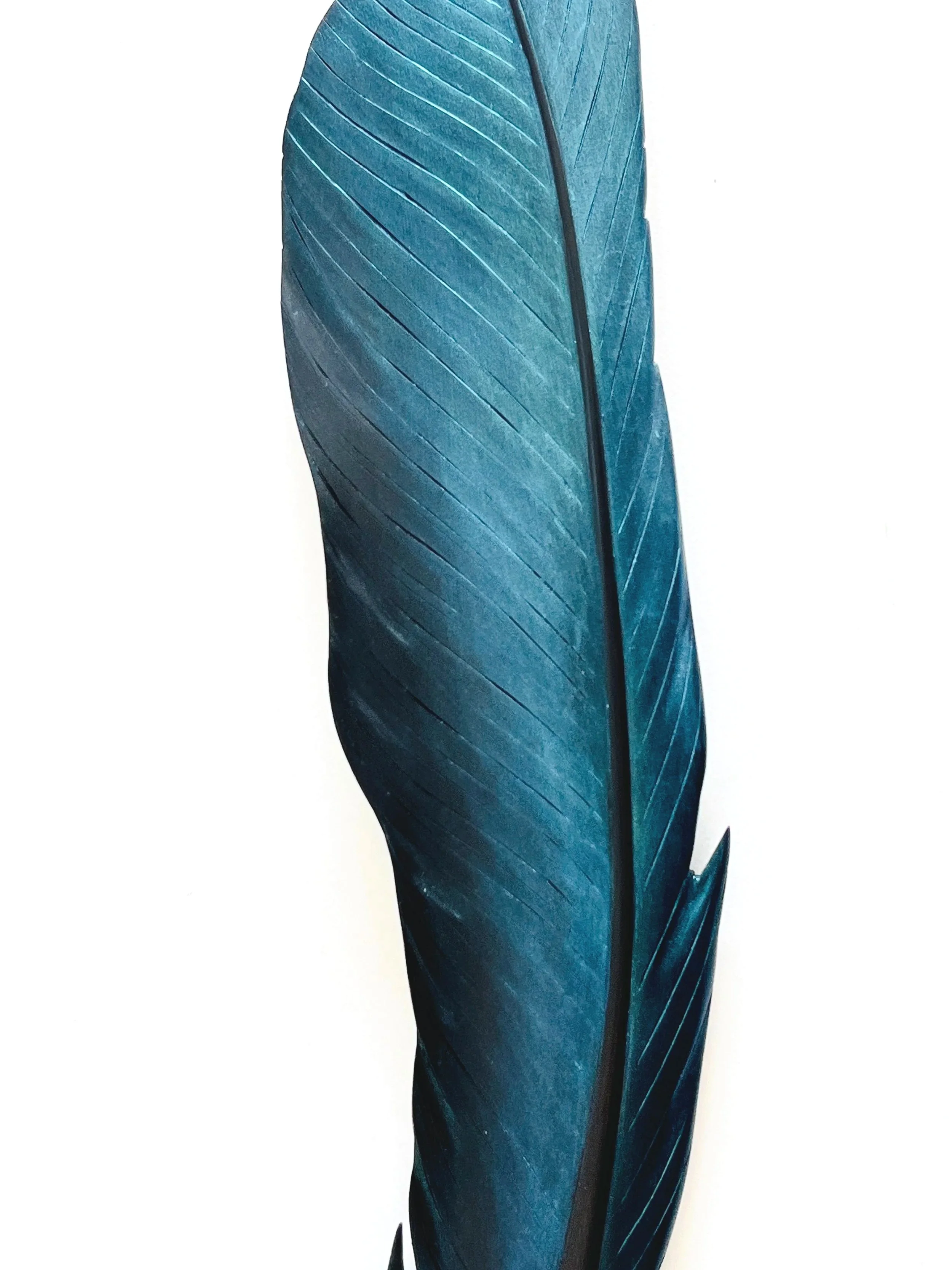 detail+of+stunning+tui+feather+art+by+claire+jensen.jpg