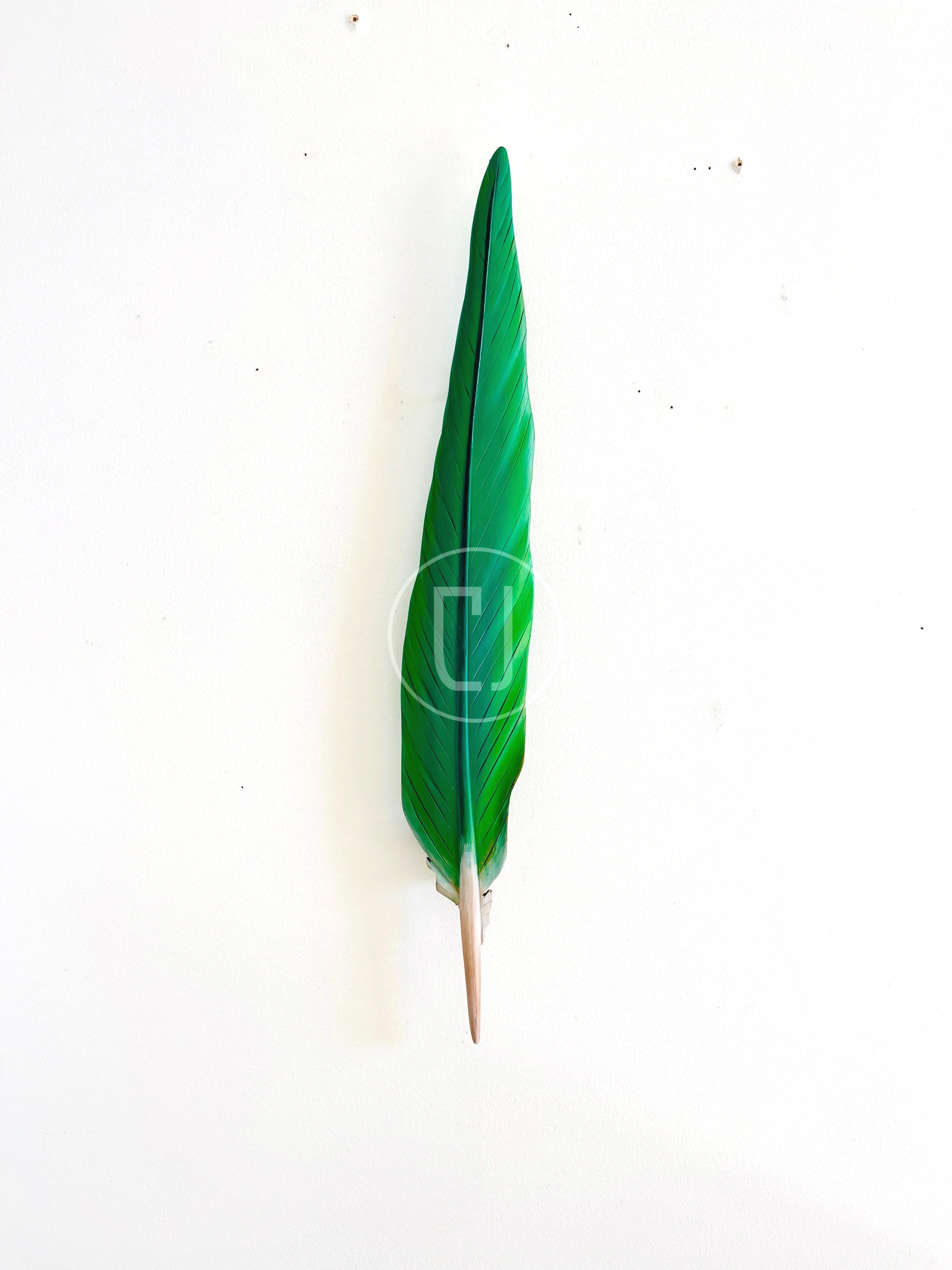 green+kakariki+feather+art+by+claire+jensen.png