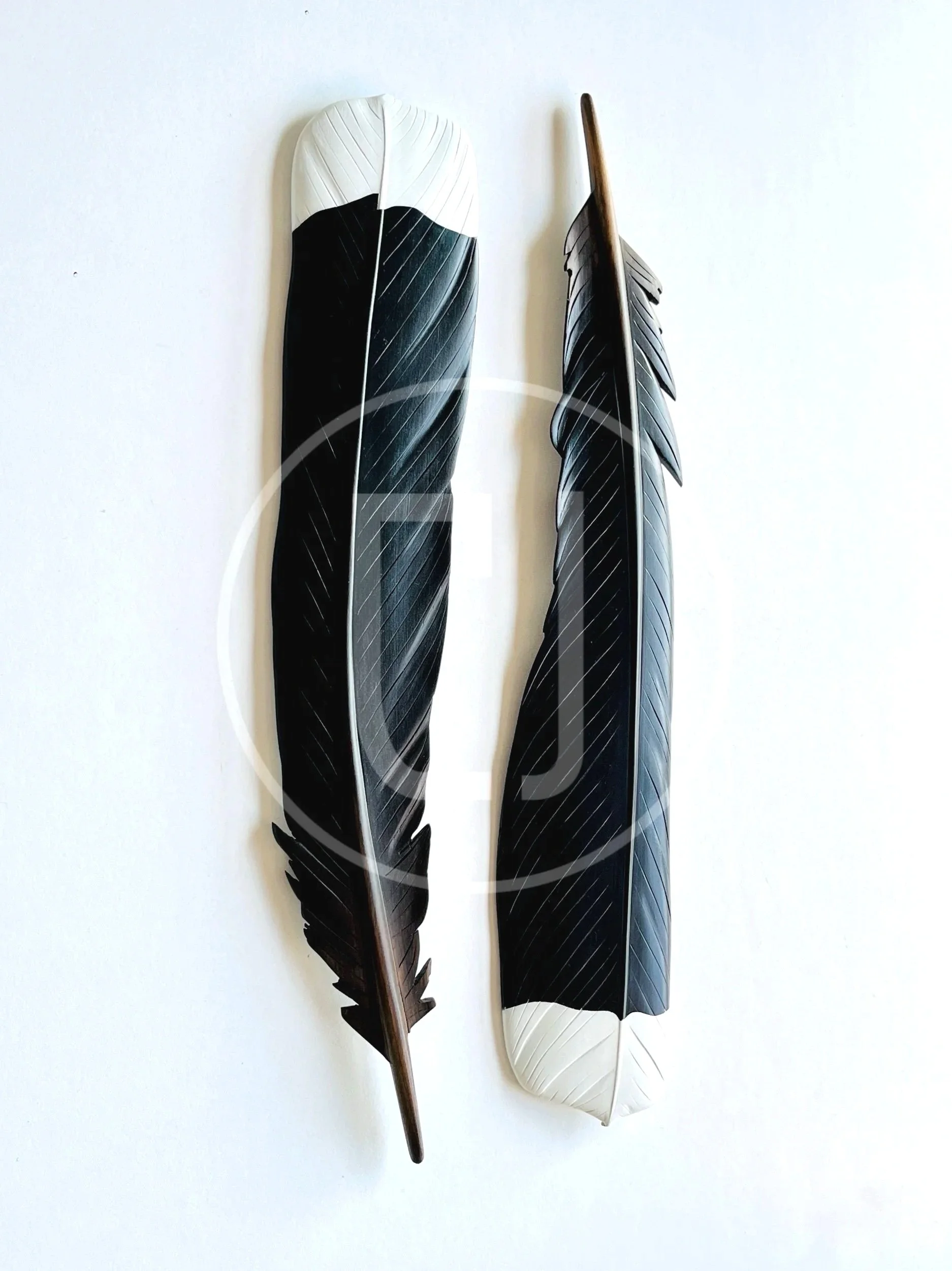 huia feather art by Claire Jensen New Zealand