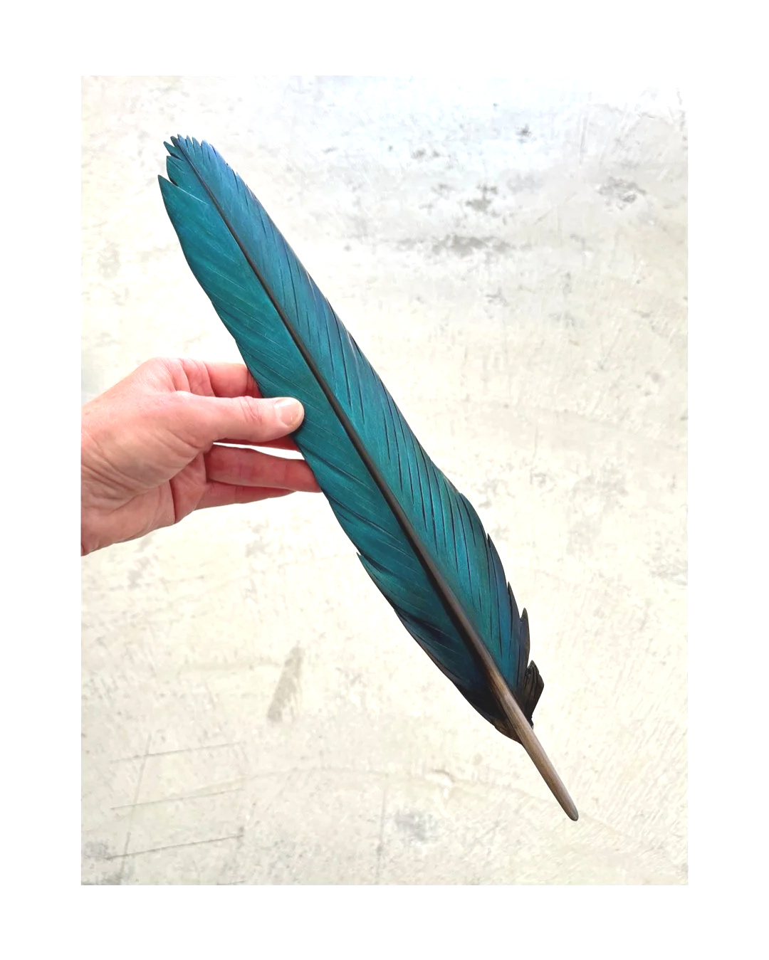 kotare%2Bart%2Btail%2Bfeather%2Bcarving%2Bclaire%2Bjensen.png