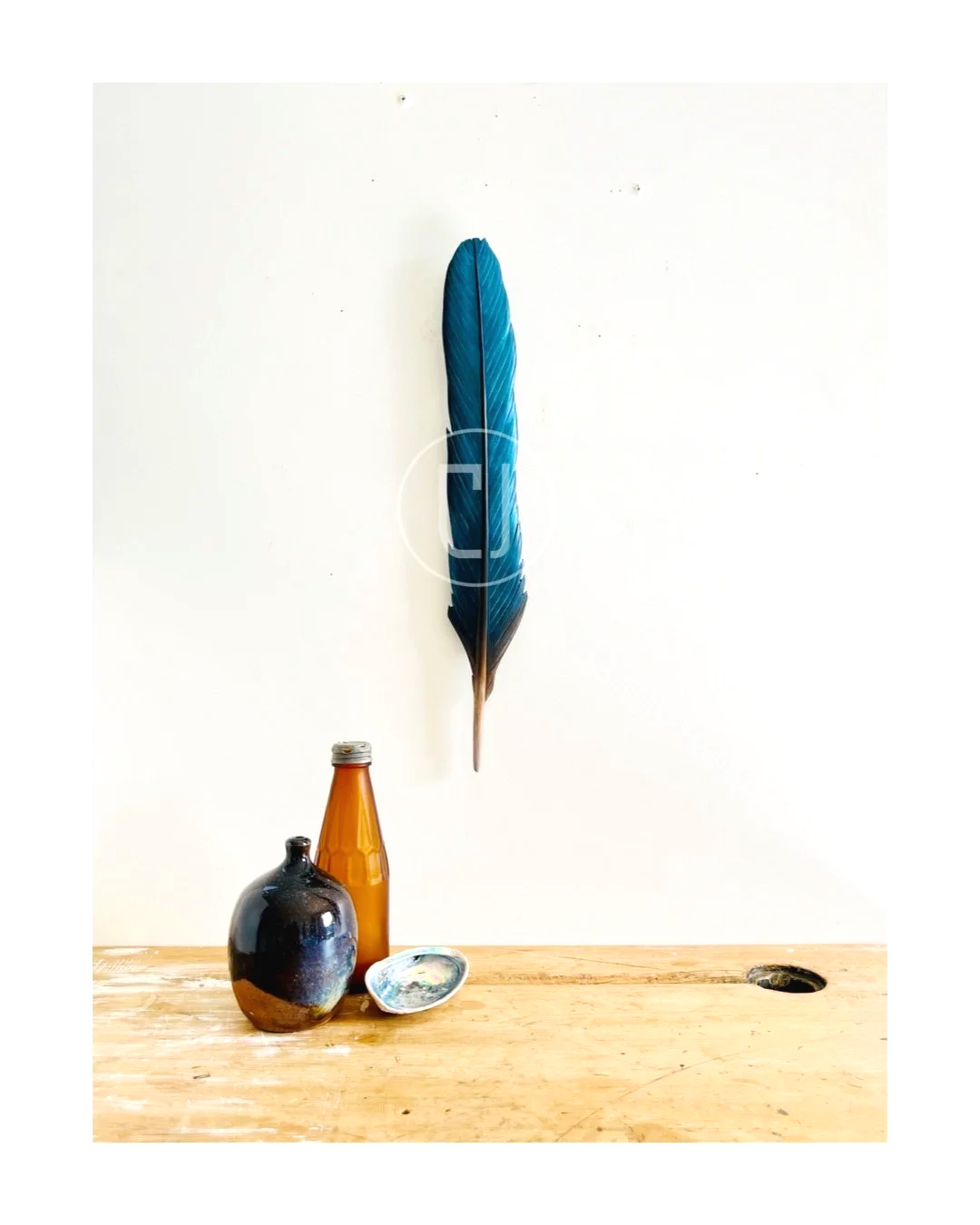 Kōtare Tail Feather in Rimu 40cm