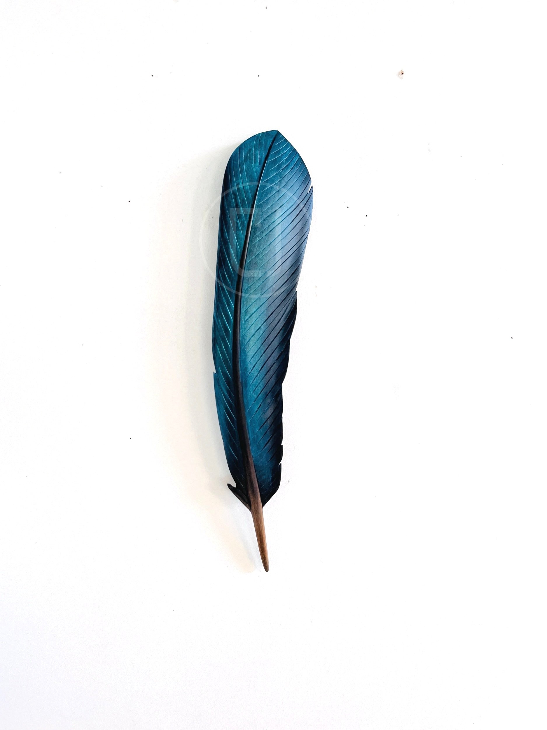 tui feather