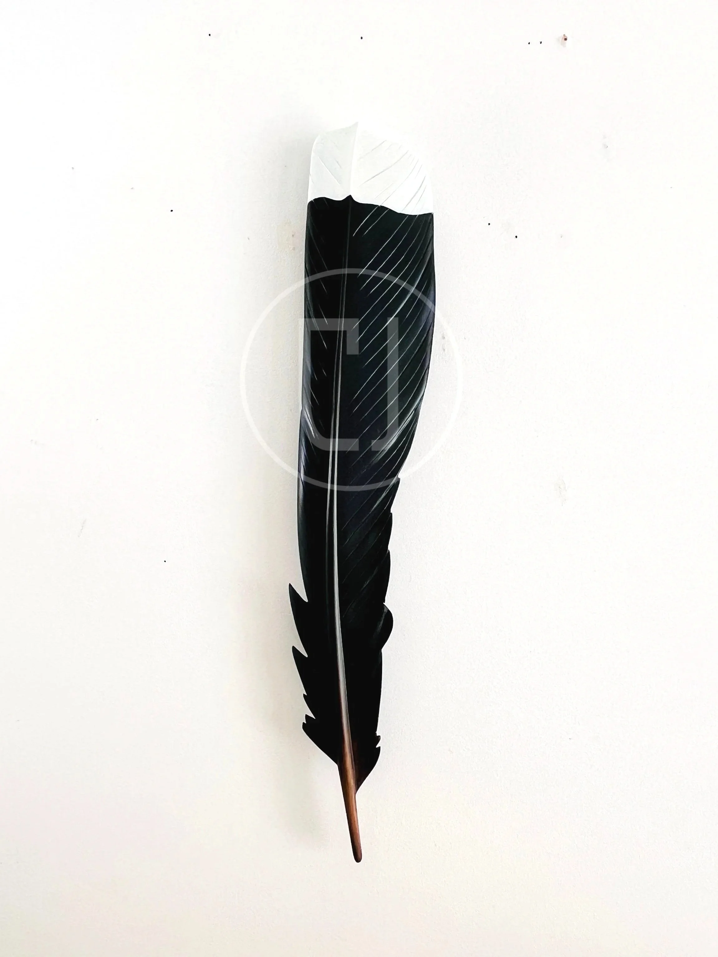 huia+art+claire+jensen.jpg