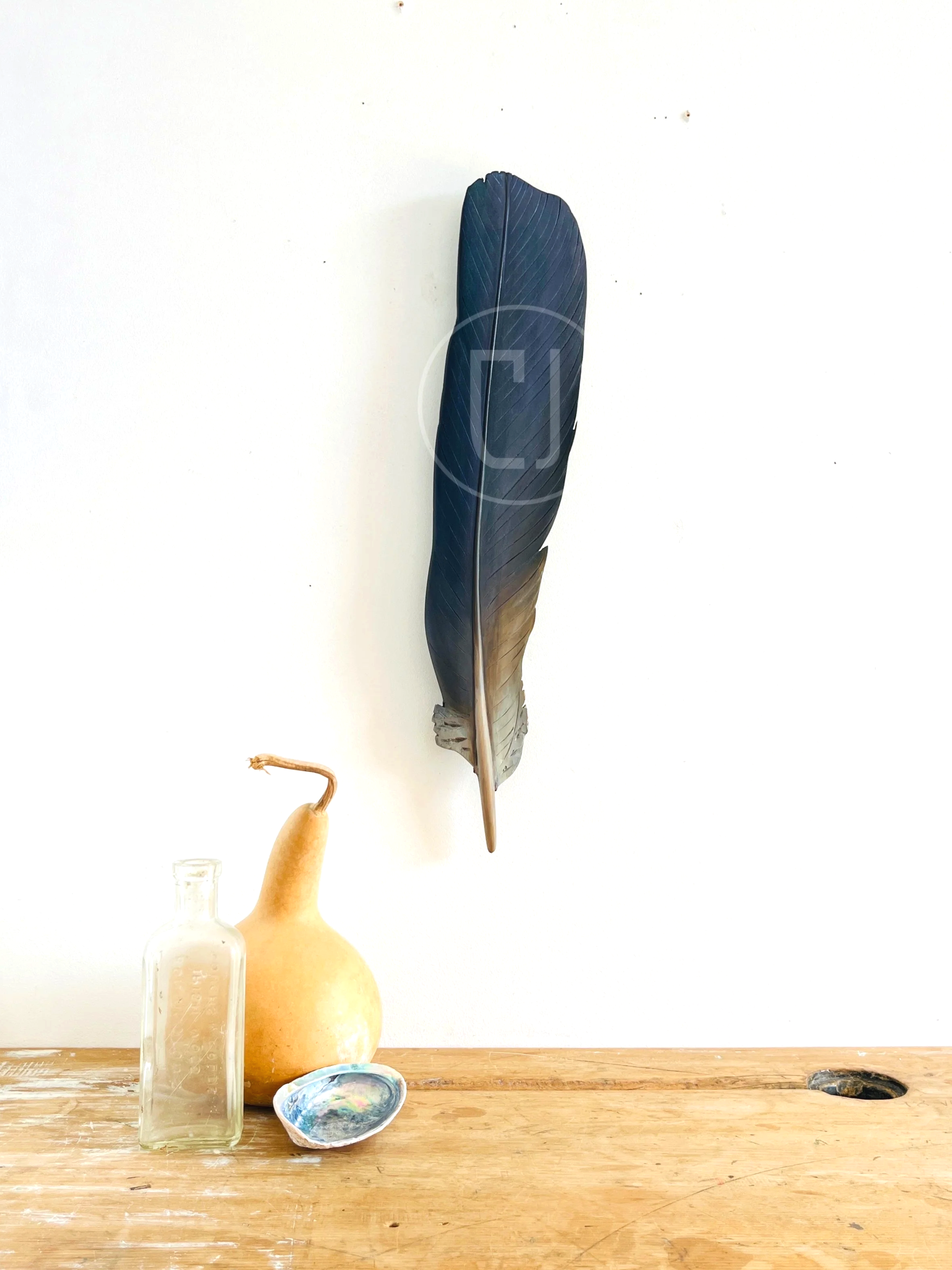 Kererū Tail Feather Art- 42cm