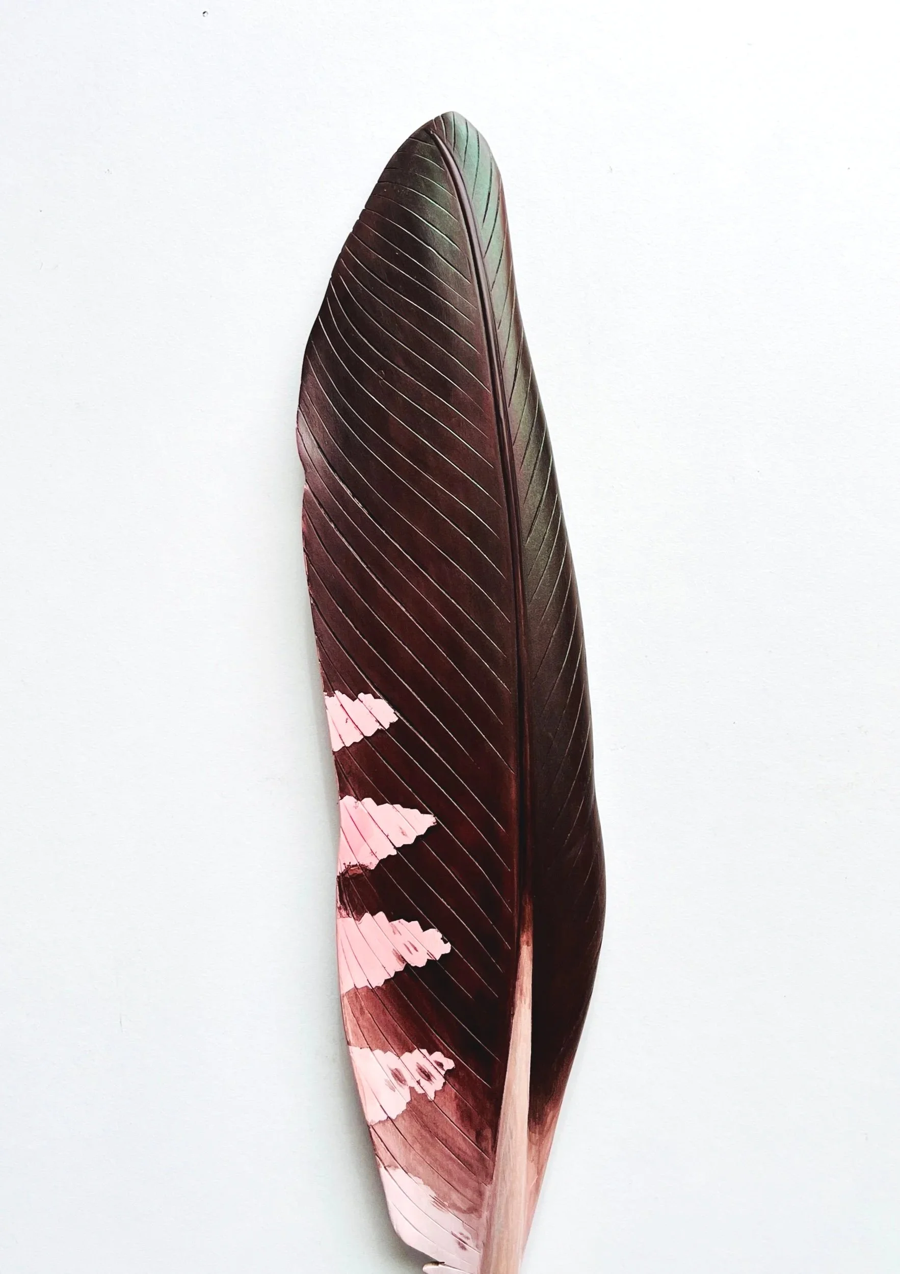 detail of kaka feather wall art by claire jensen NZ