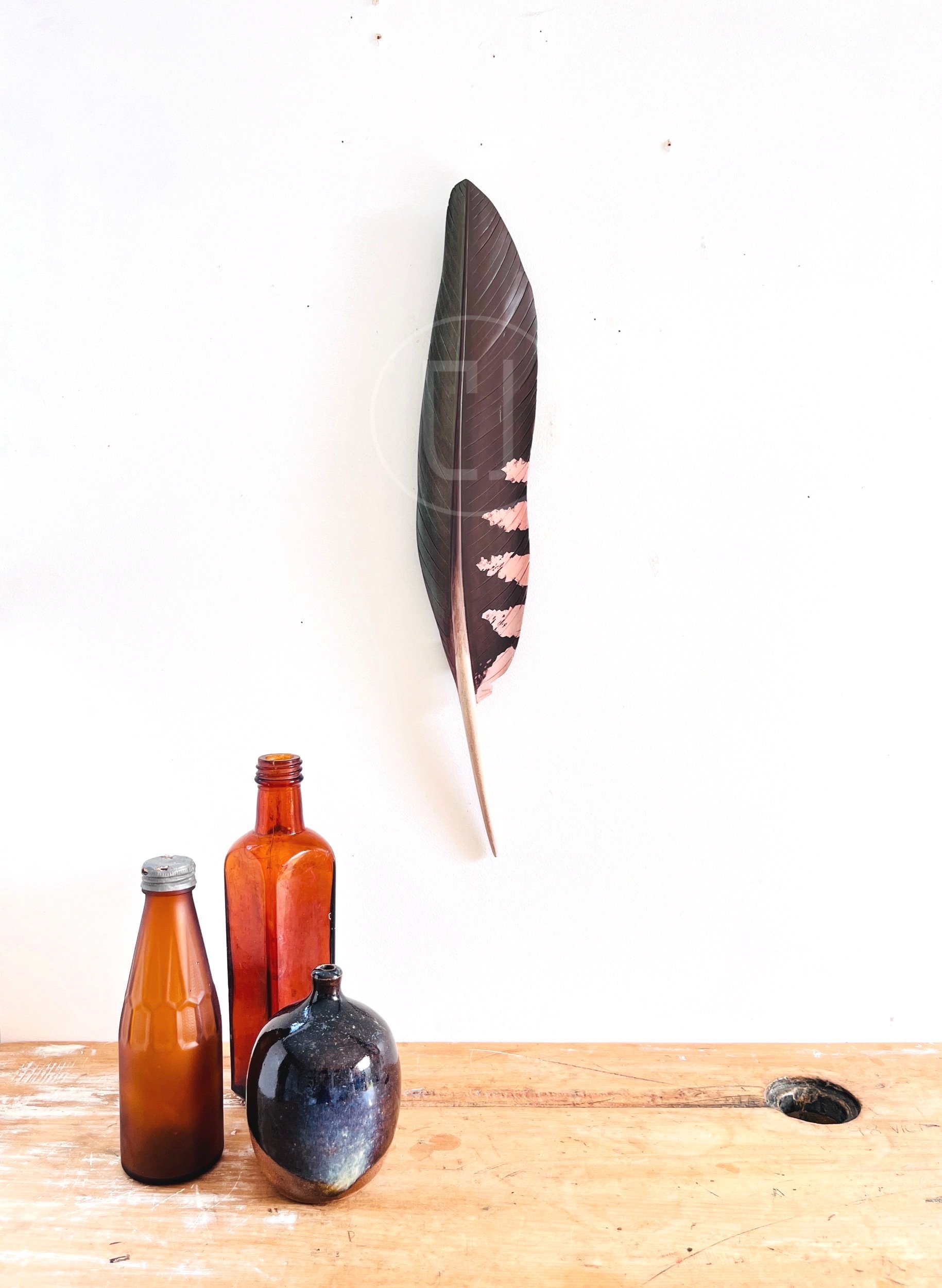 kaka wing feather art