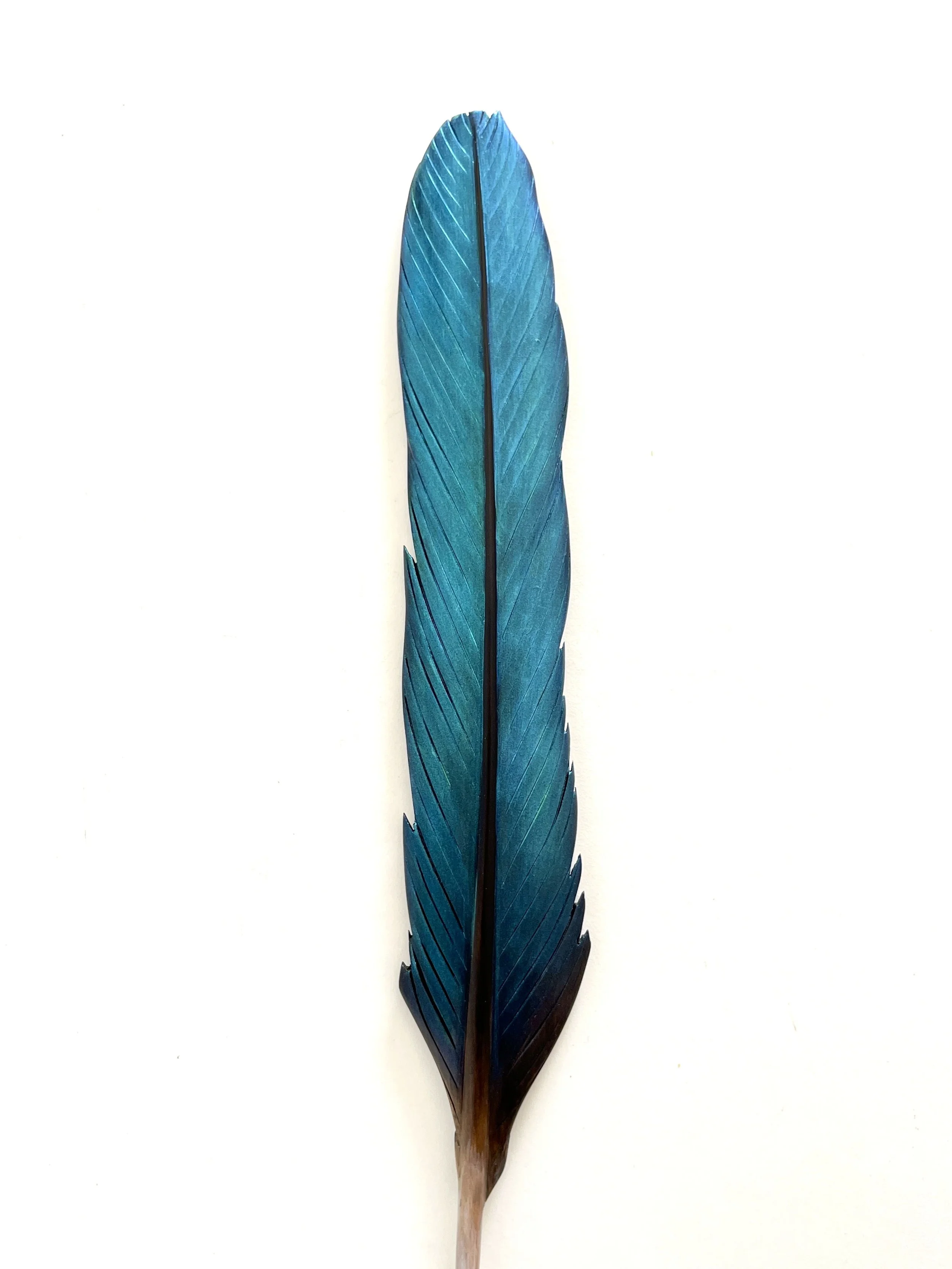 kingfisher feather art carving claire jensen.JPEG
