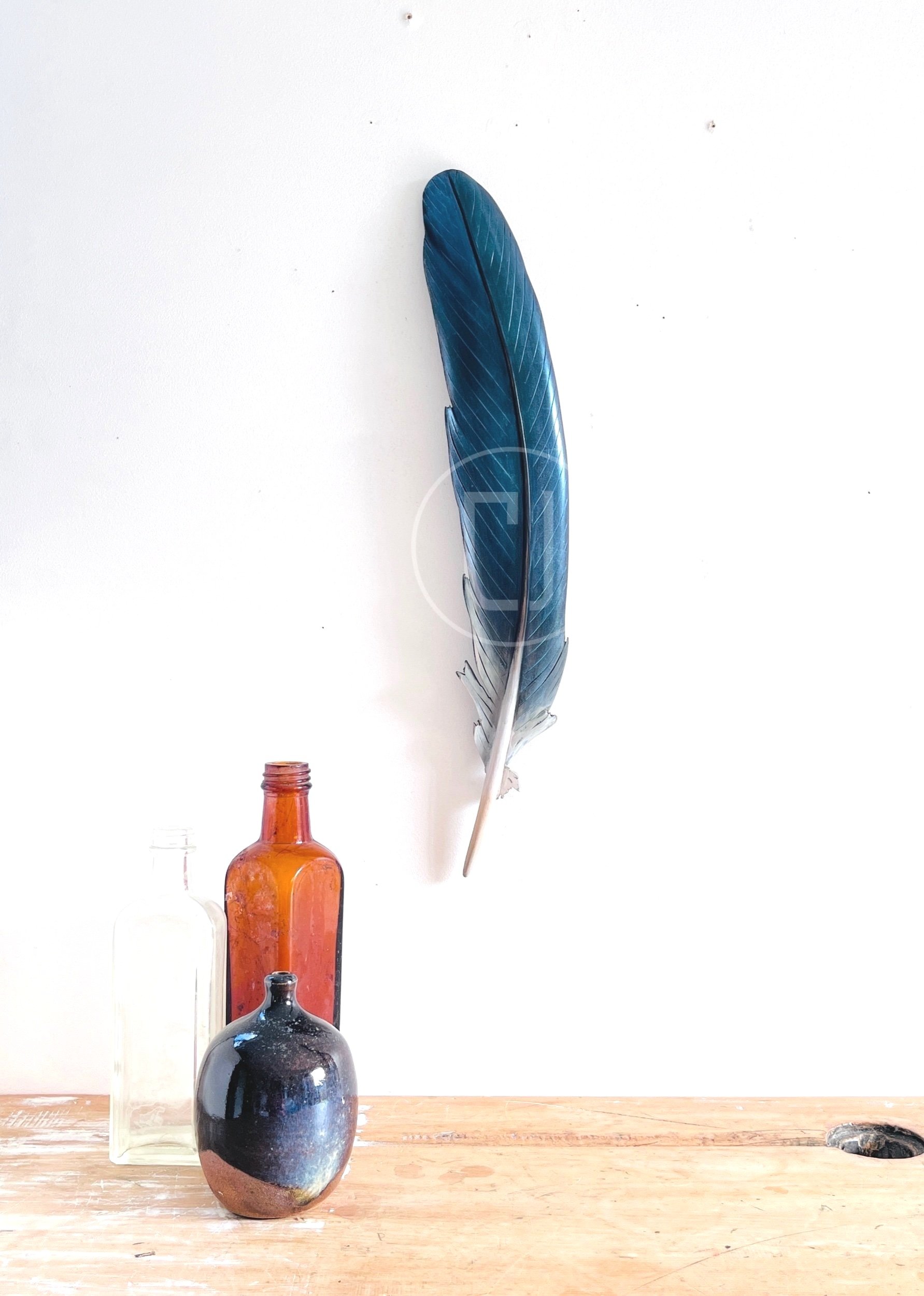 wood+pigeon+feather+art.jpg
