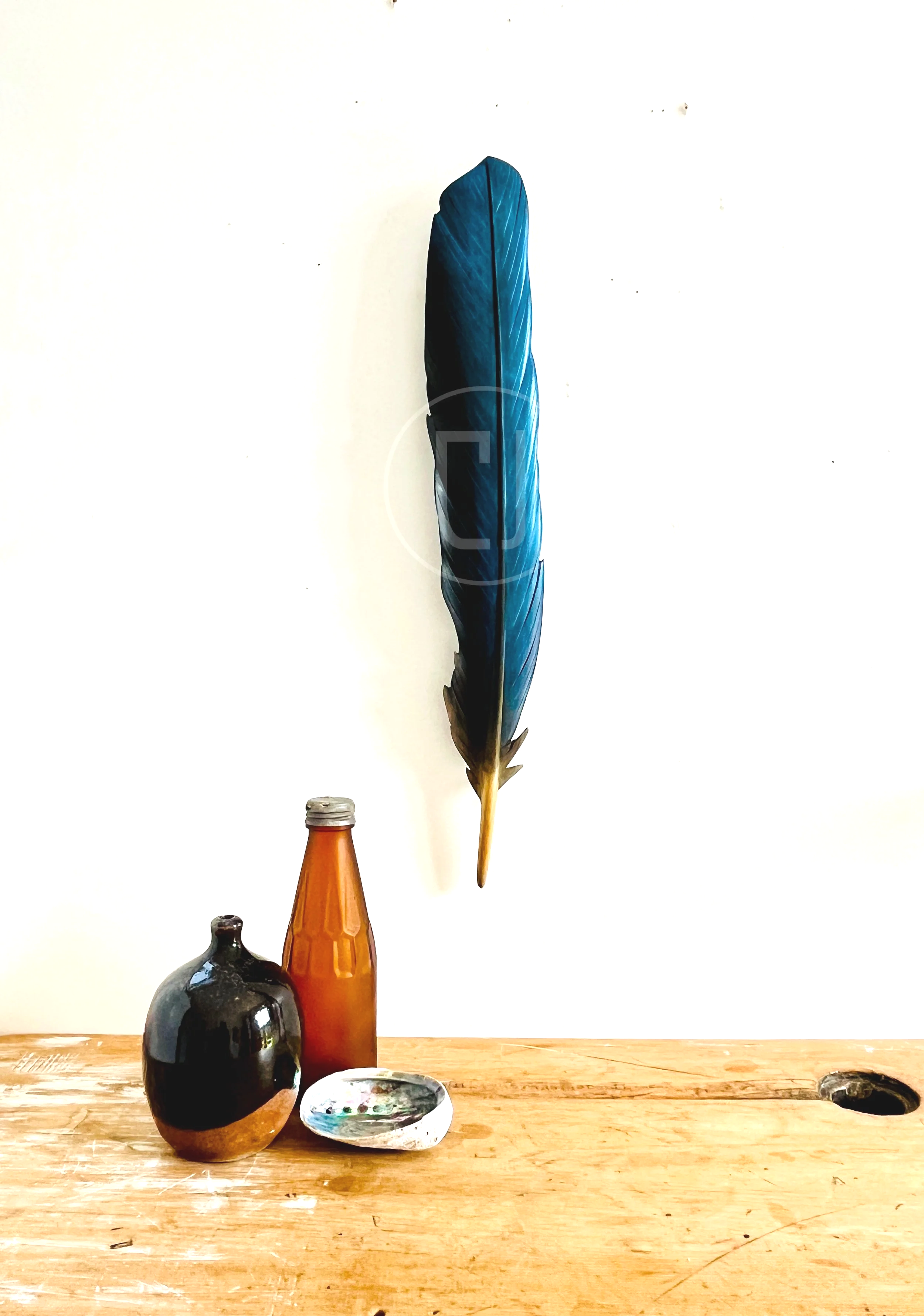 matai+kingfisher+art+feather+by+claire+jensen+opunake.png