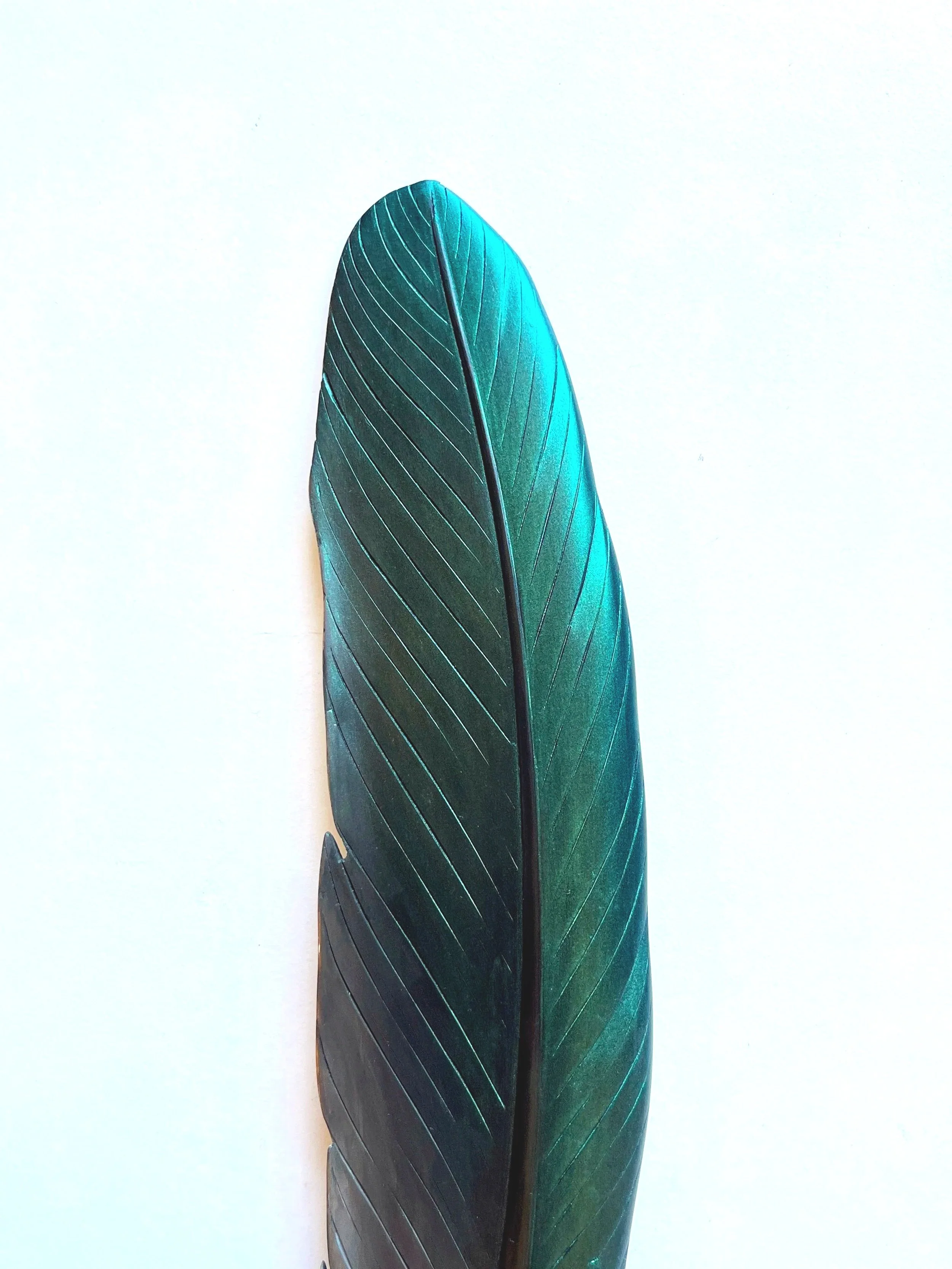 detail+of+green+kereru+feather+art+claire+jensen.jpg