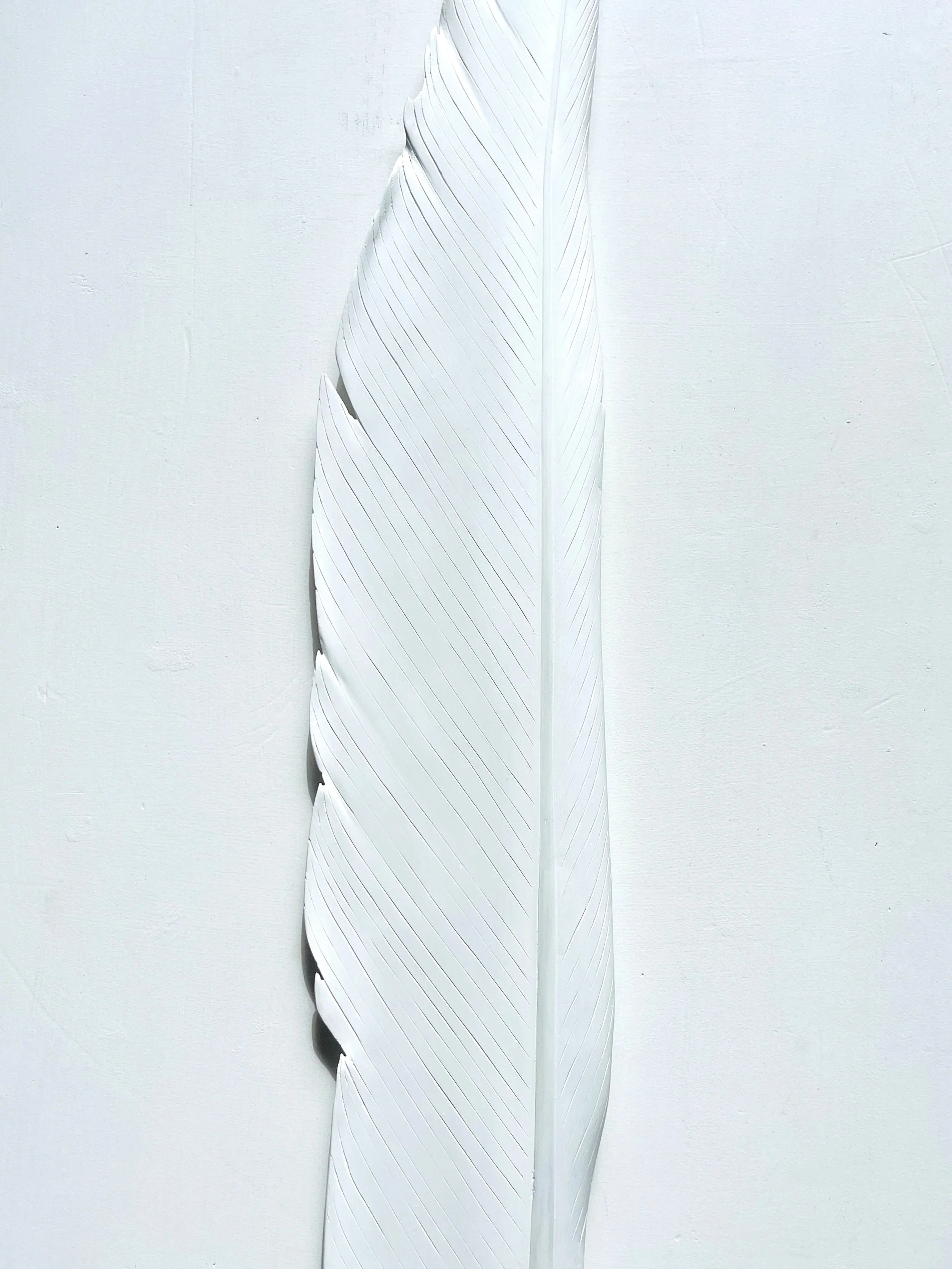 white+heron+feather+art+claire+jensen+nz.jpg