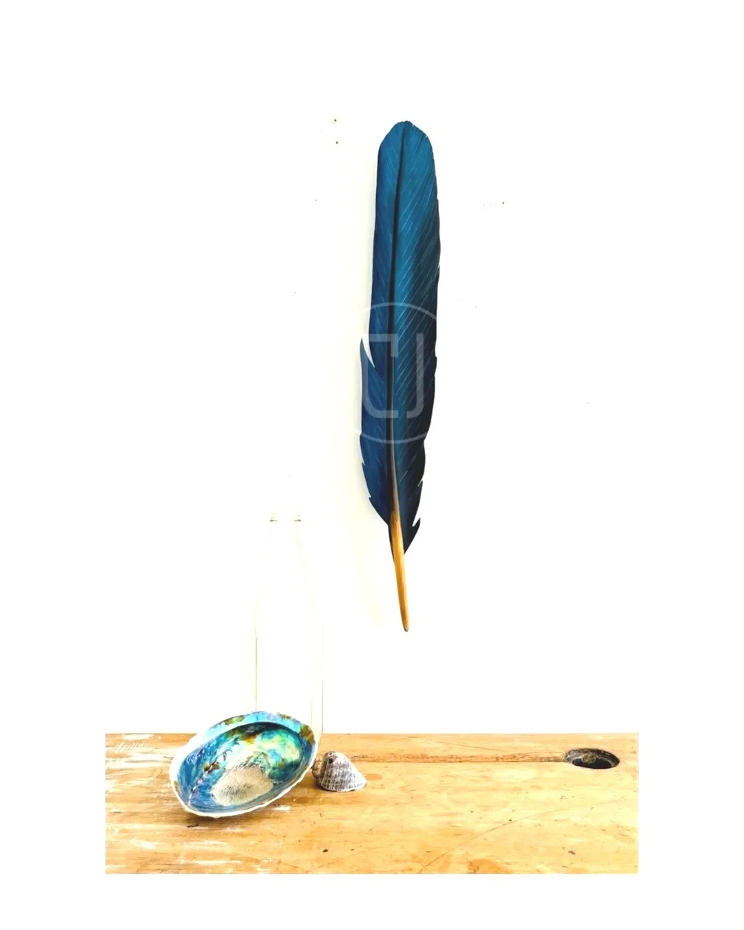 Kōtare Feather Art in Kauri- 55cm