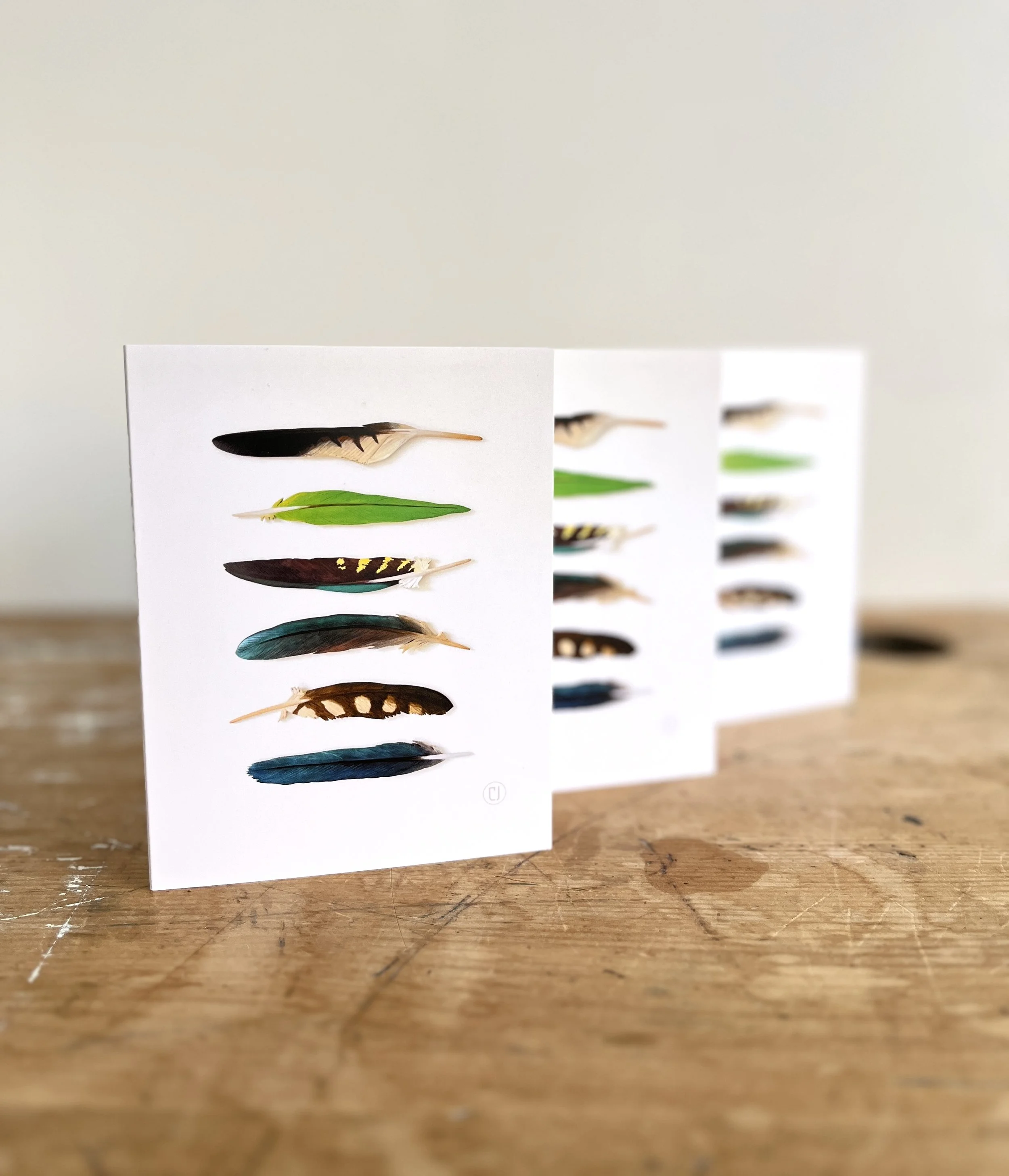 Six Feather Note Card 4 Pack