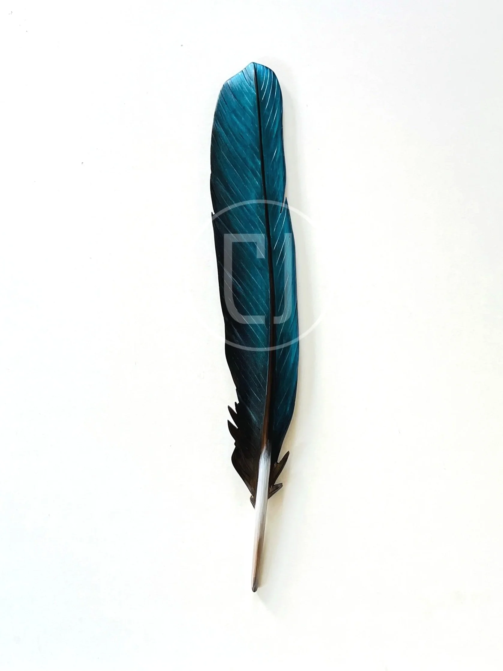 kotare feather wall art by Claire Jensen NZ Artist