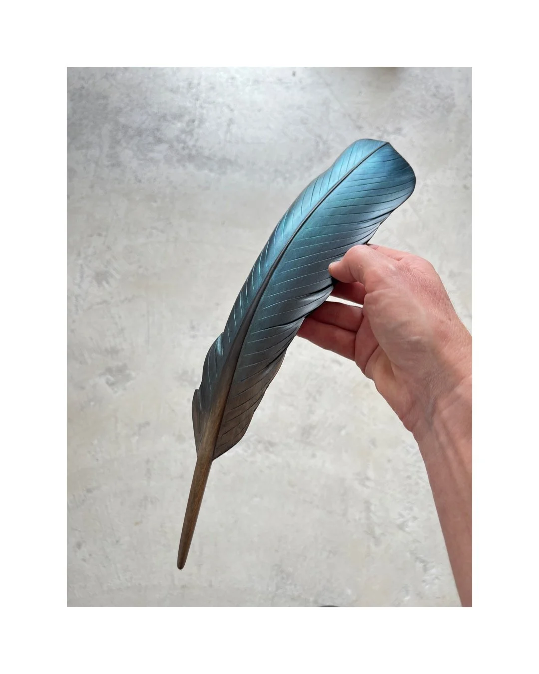 tui wing feather art by claire jensen opunake.jpeg