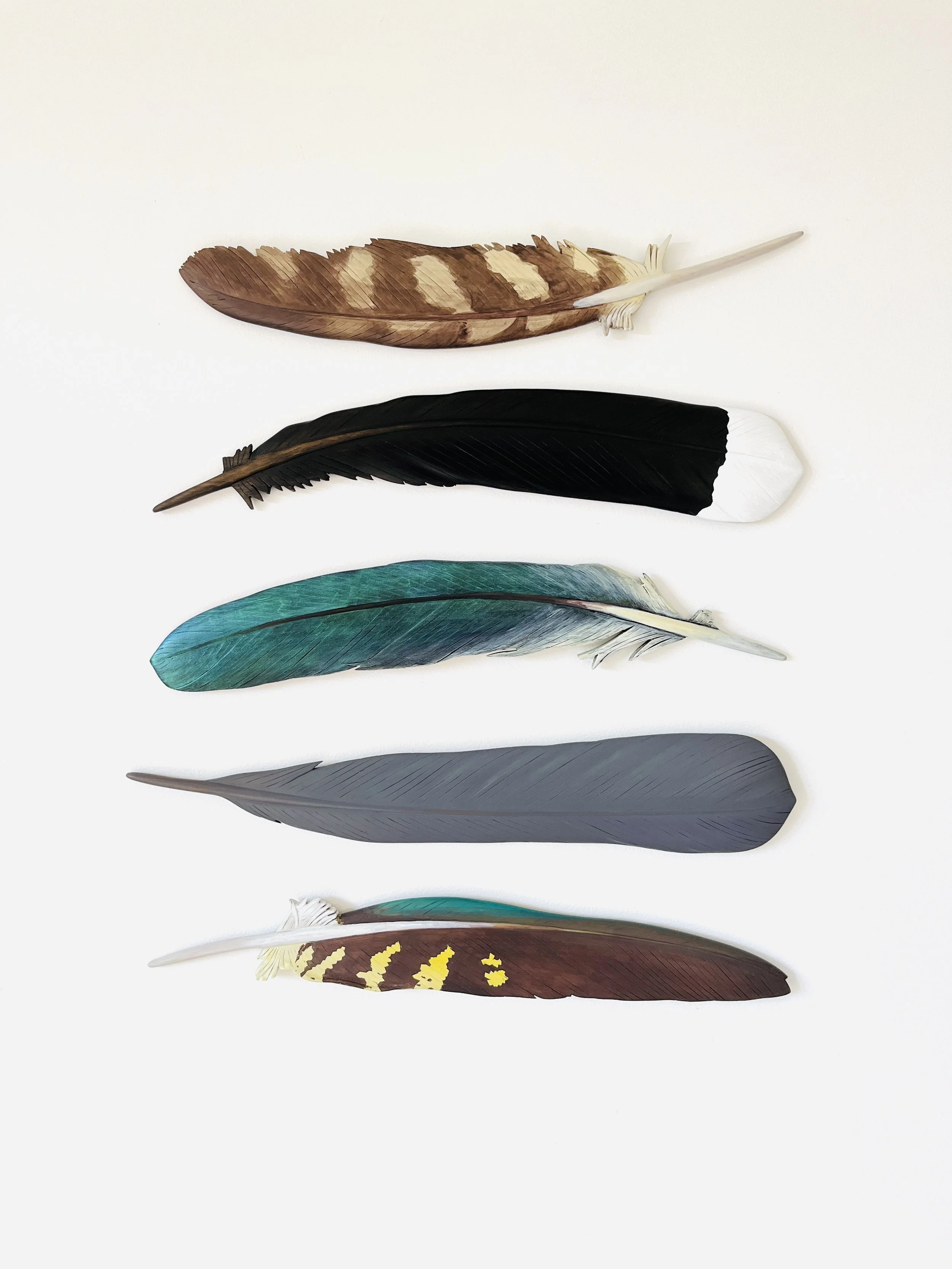 Five feather installation featuring carved rimu native bird feathers, ruru, huia, kereru, kakapo and kea. Commission 2024. 