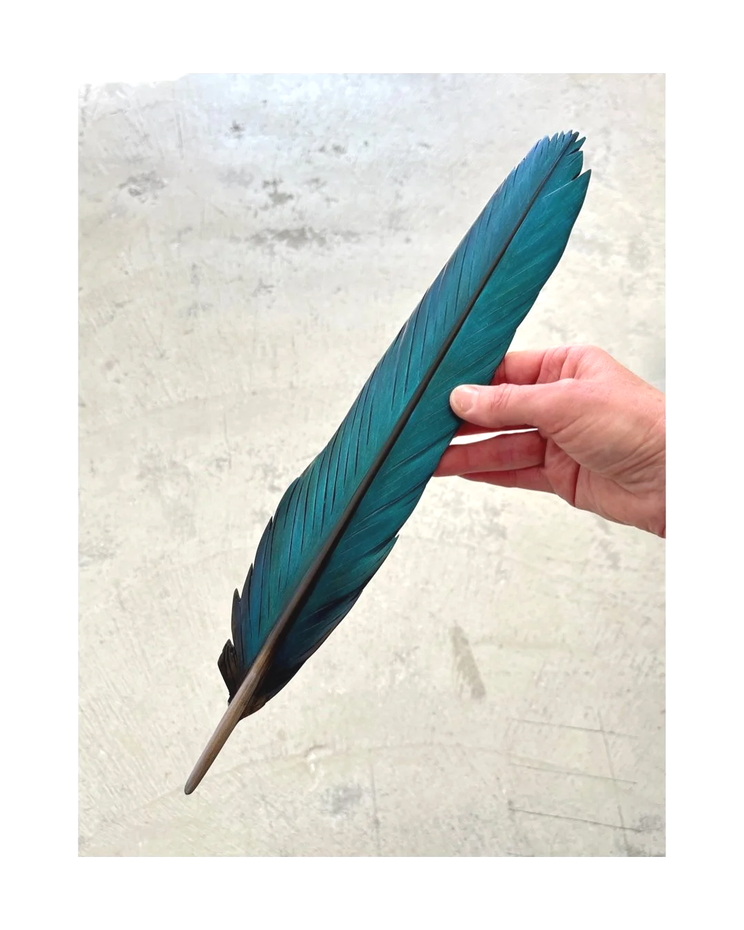 kotare+art+tail+feather+carving+claire+jensen.png