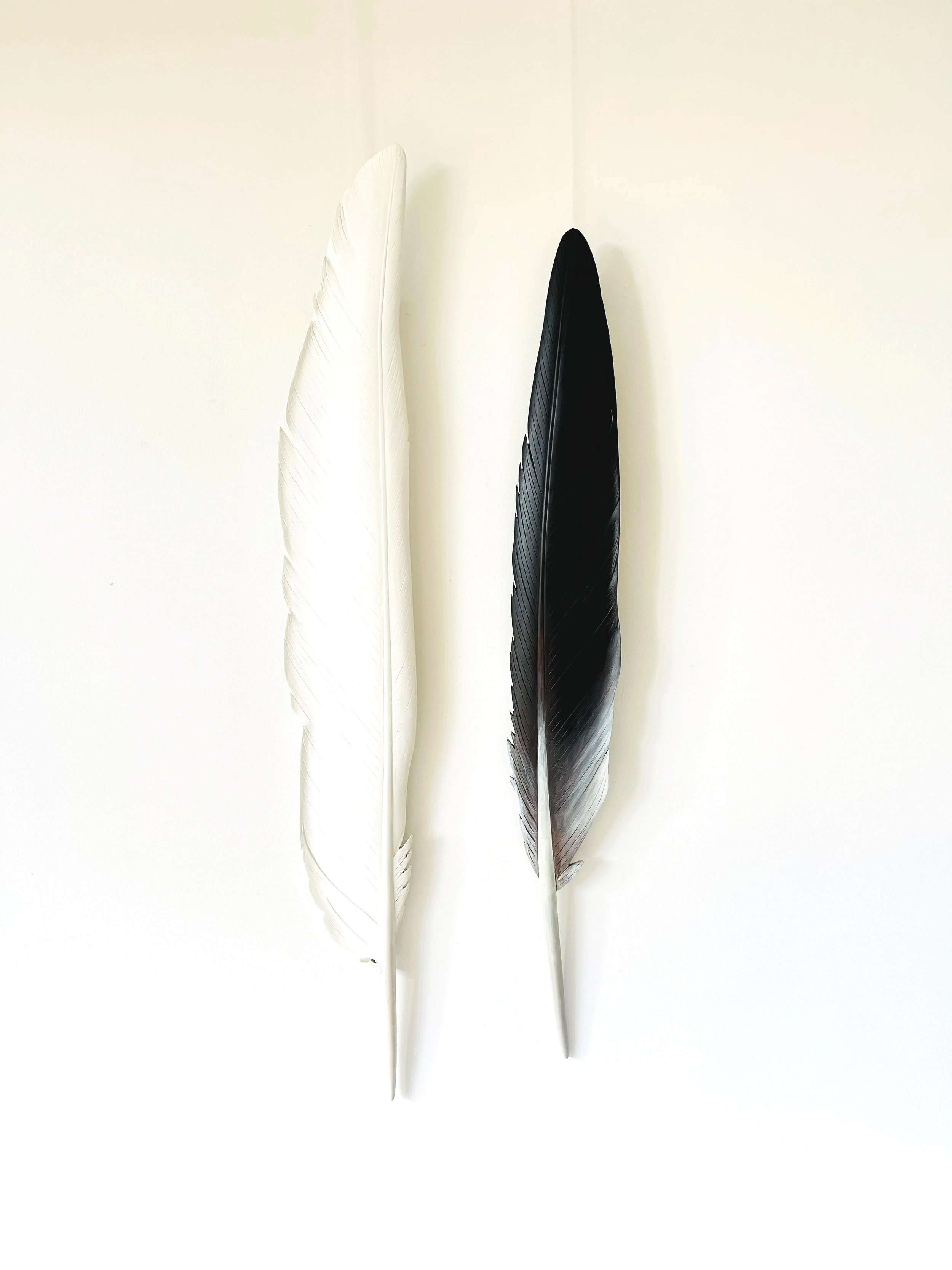 kotuku+and+kawau+feather+art+by+claire+jensen.jpg