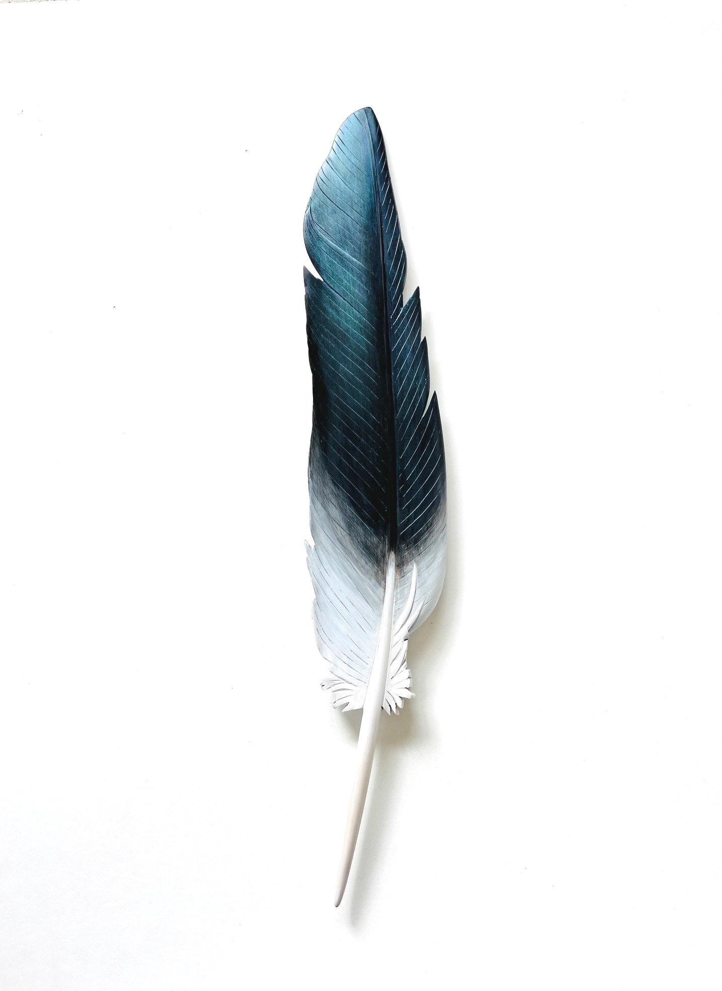 pigeon feather kereru art