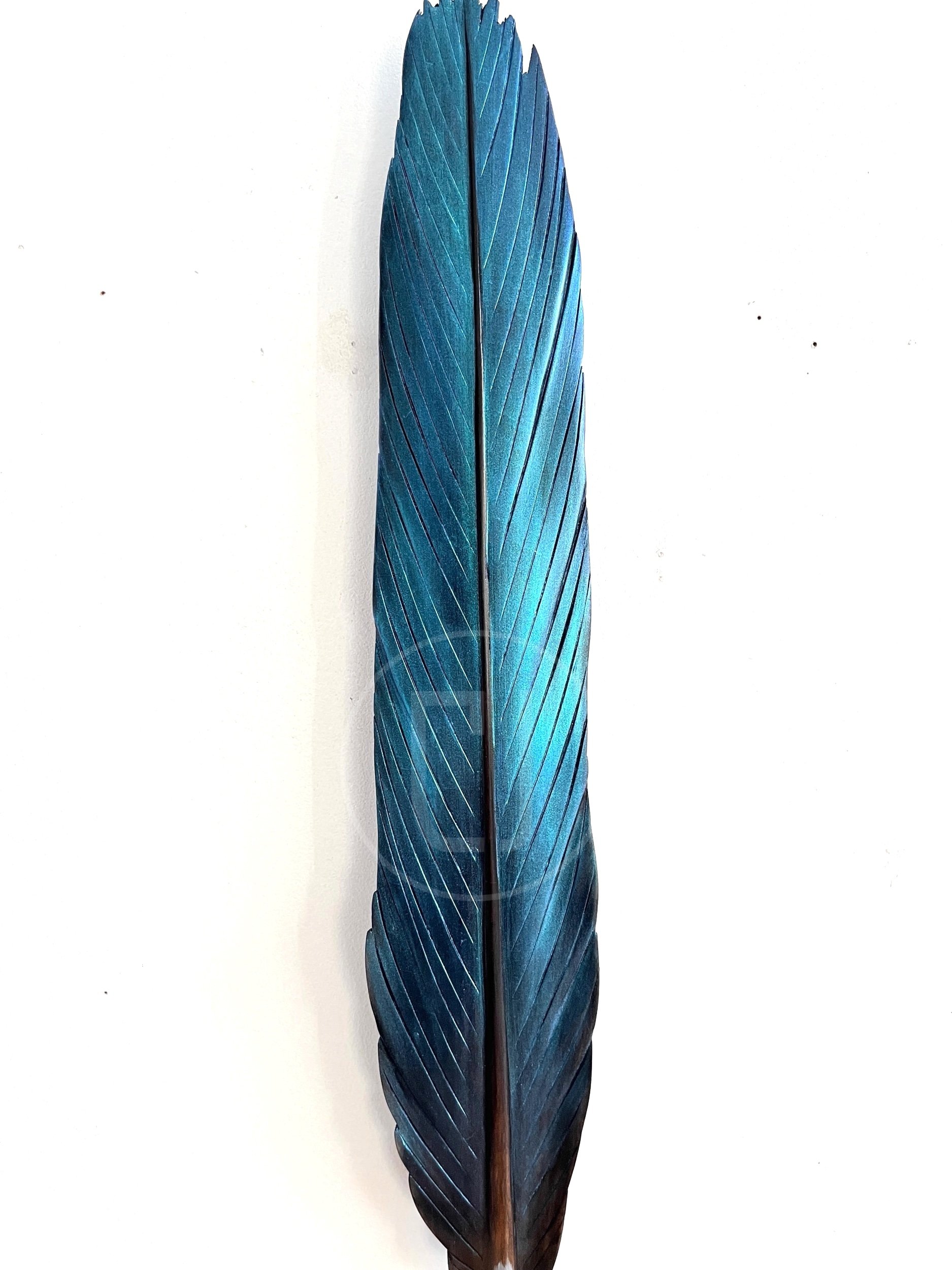 iridescent blue kingfisher feather art
