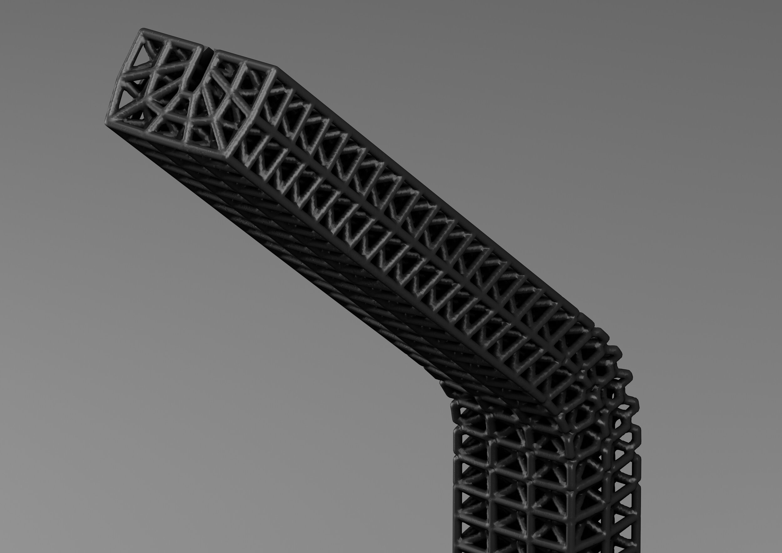 Bungee_closeup_4.jpg