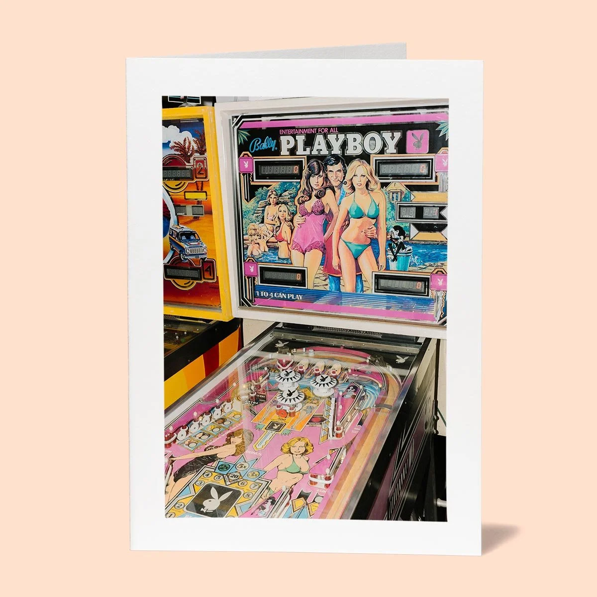 pinball-bunny.jpg