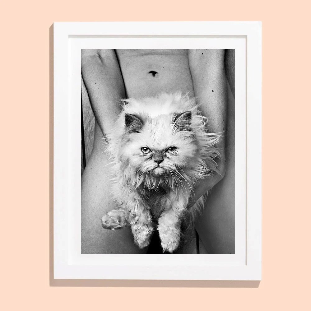 mad-pussy.jpg